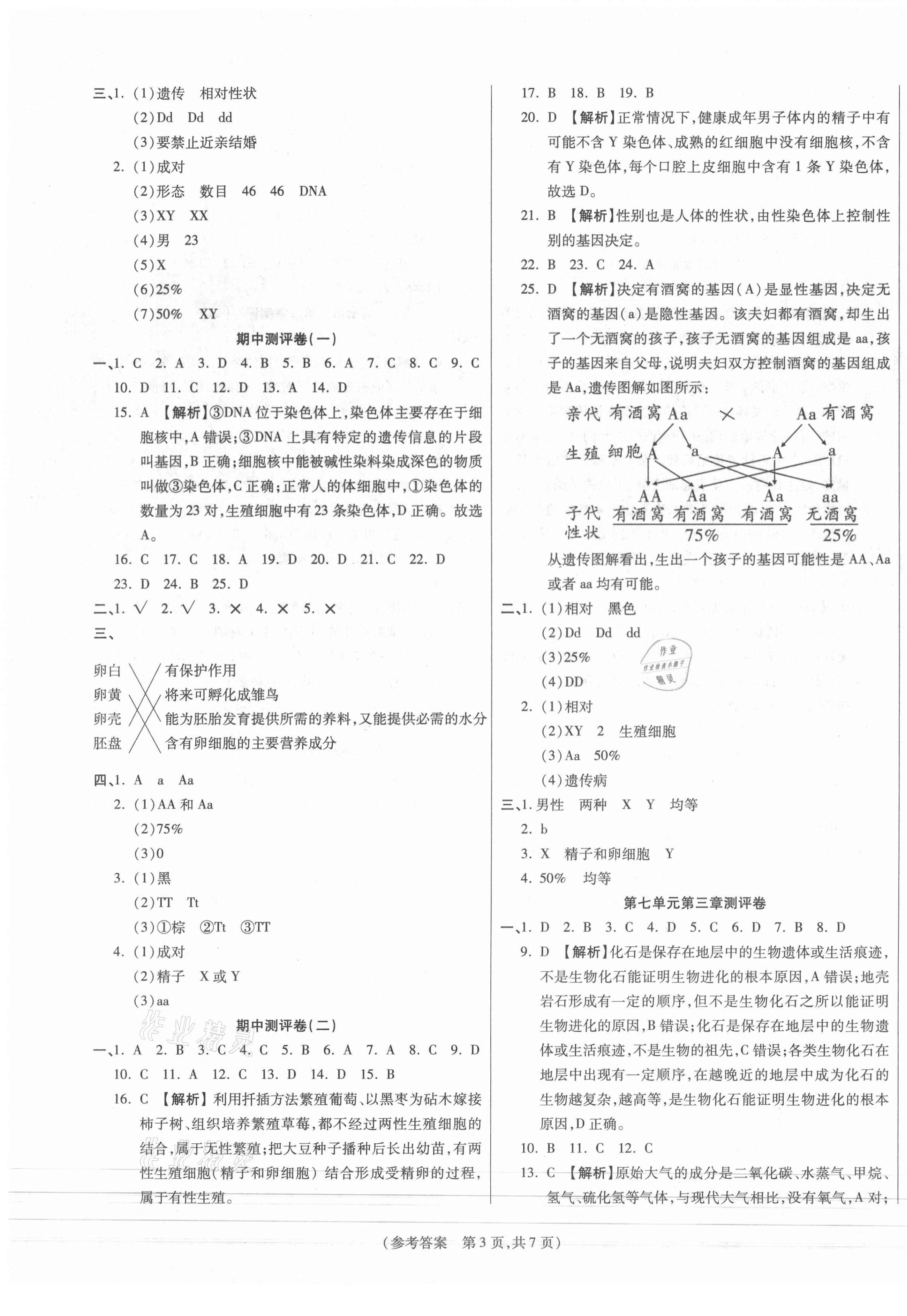 2021年智能優(yōu)選卷初中八年級生物下冊人教版 參考答案第3頁