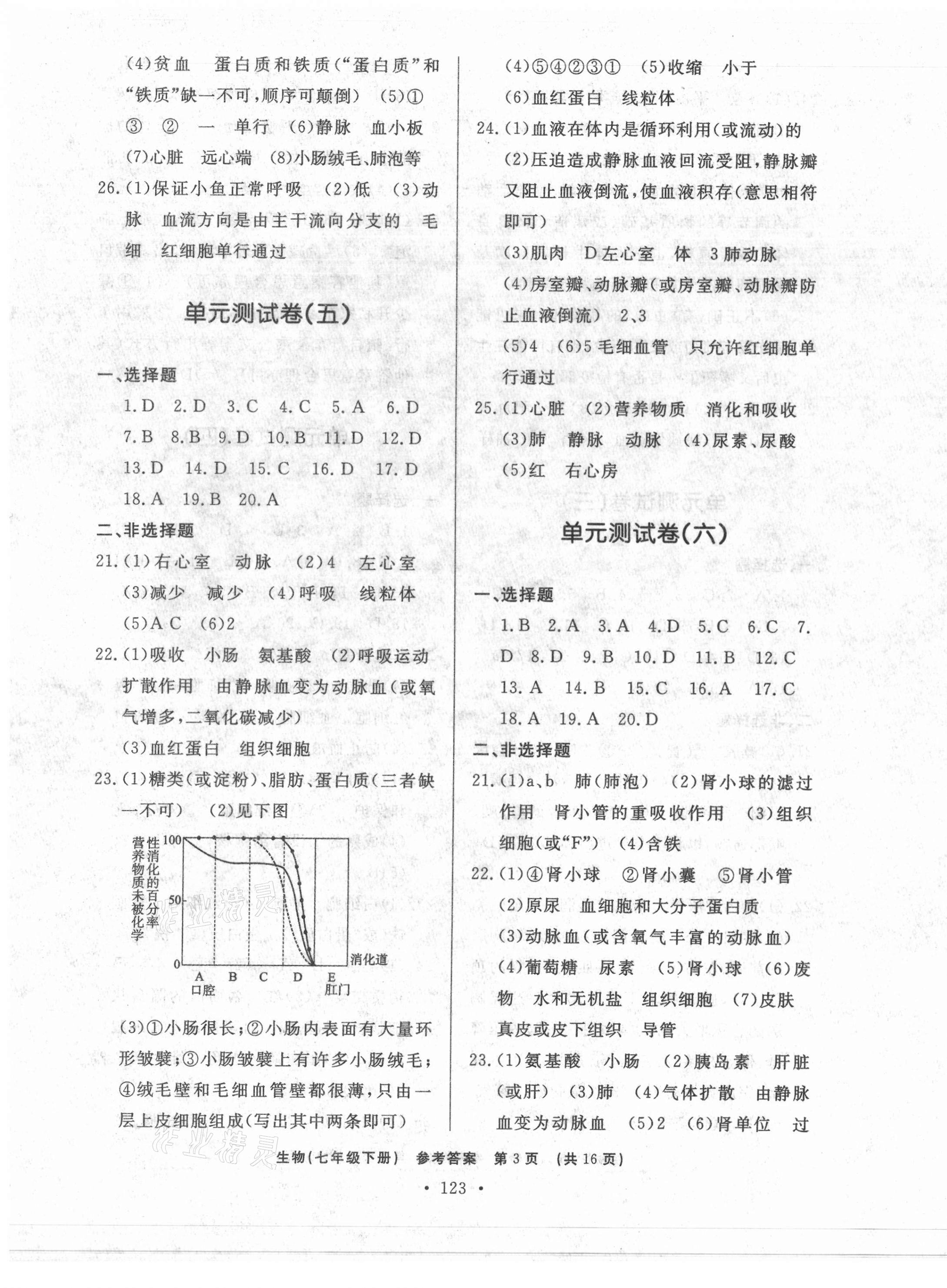 2021年初中知识与能力测试卷七年级生物下册人教版 第3页