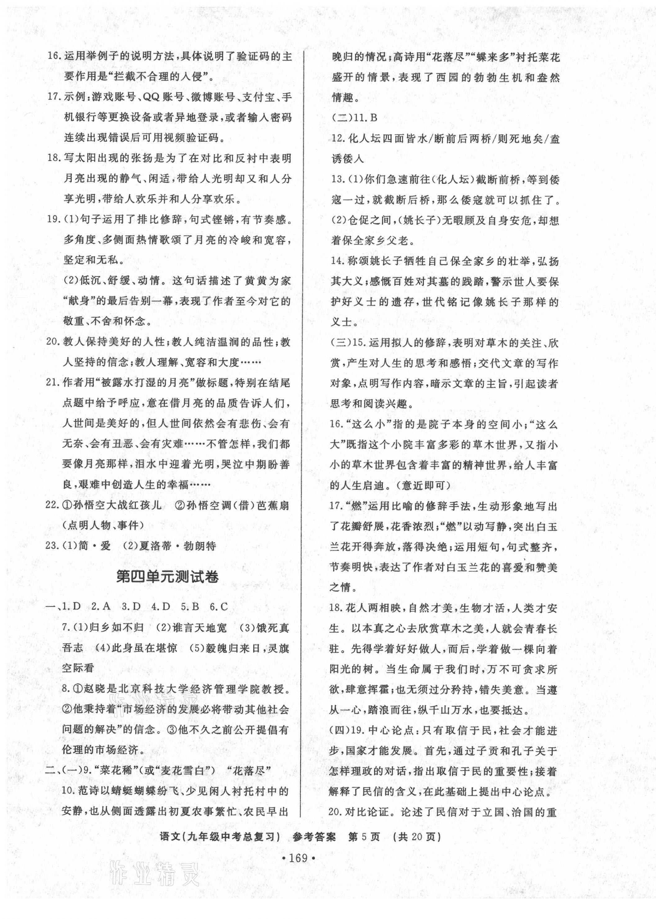 2021年初中知識(shí)與能力測(cè)試卷九年級(jí)語(yǔ)文下冊(cè)人教版 第5頁(yè)