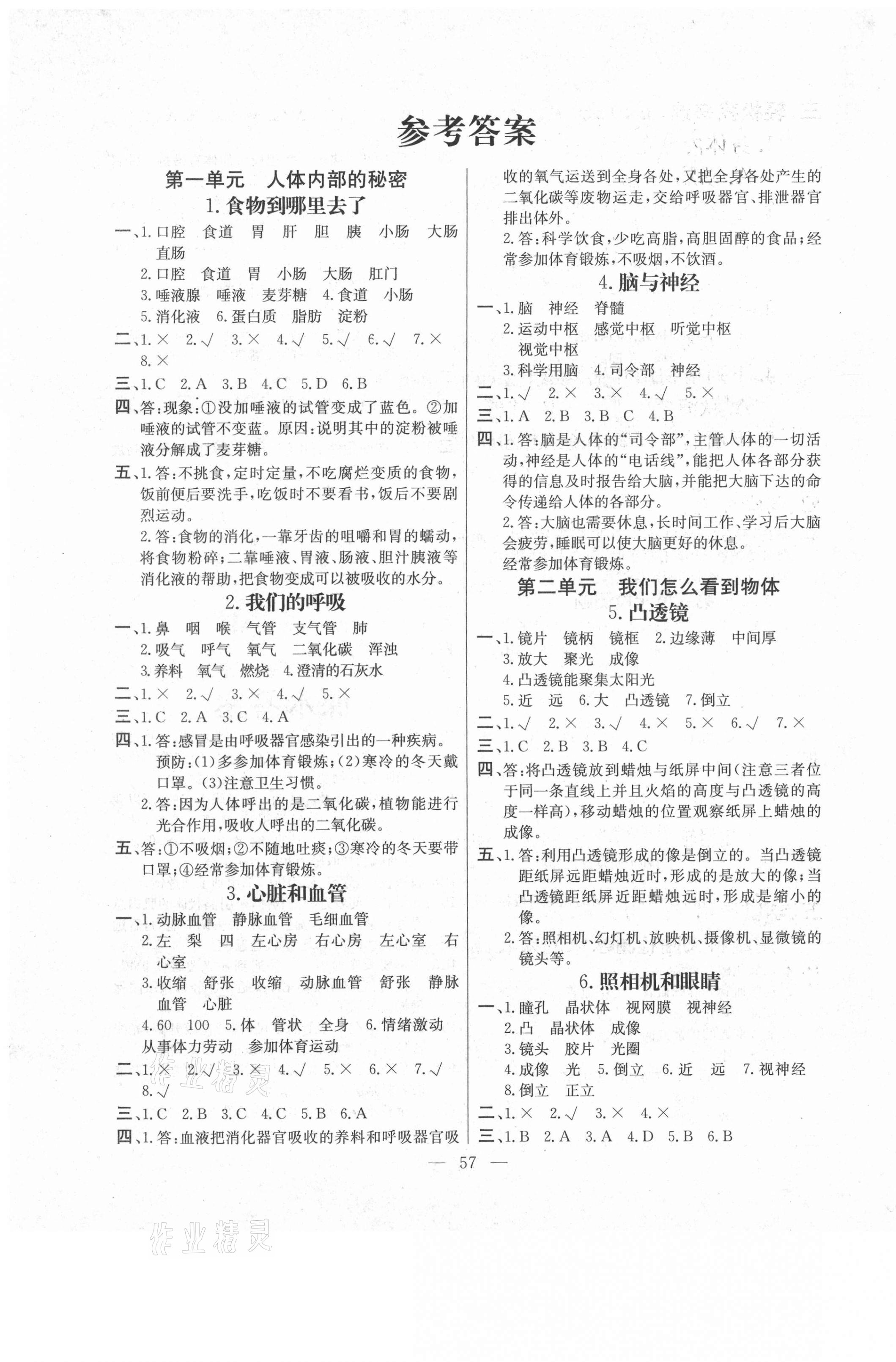2021年快樂練習五年級科學下冊青島版云南美術出版社 第1頁