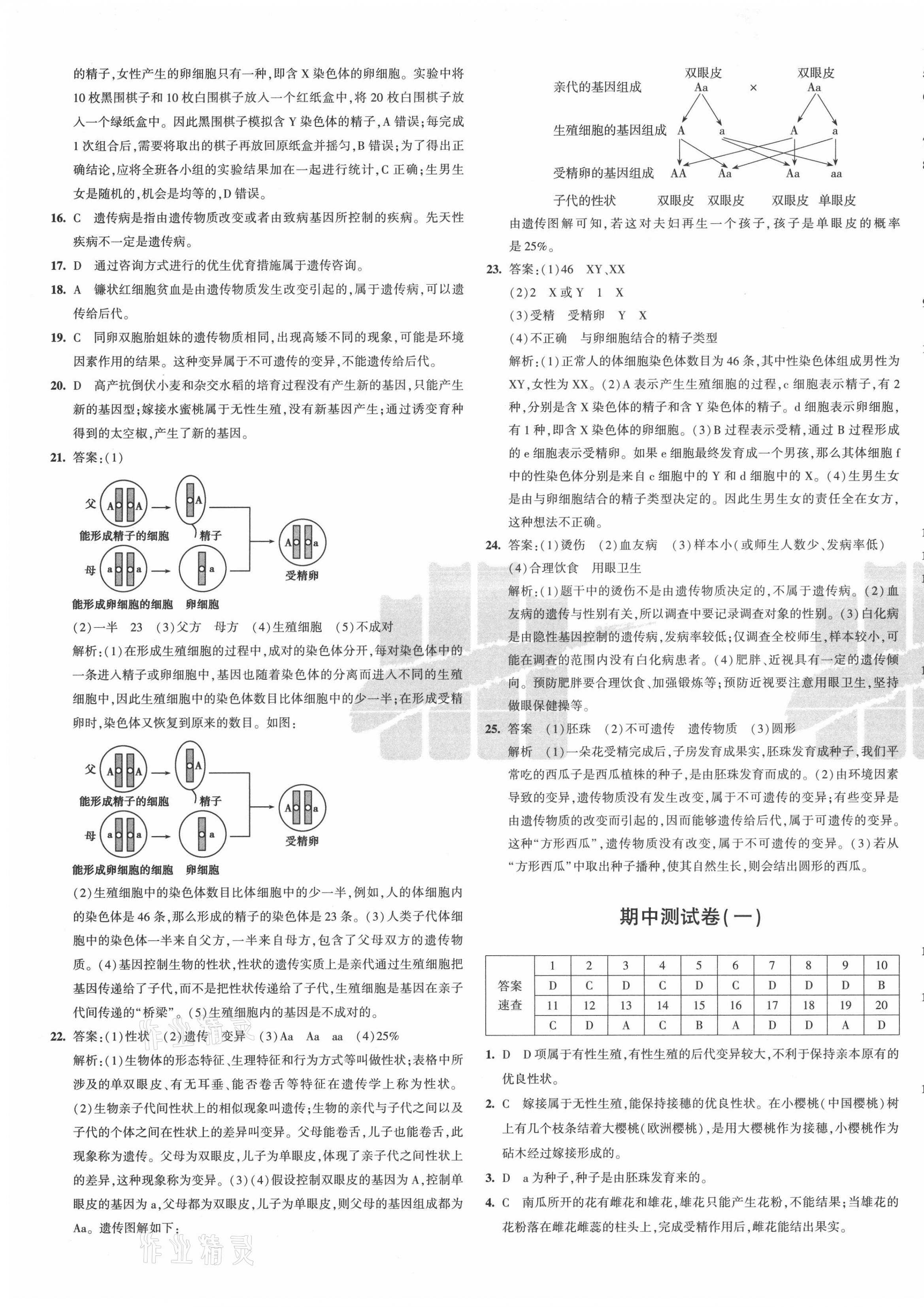 2021年5年中考3年模擬初中試卷八年級(jí)生物下冊蘇教版 第5頁