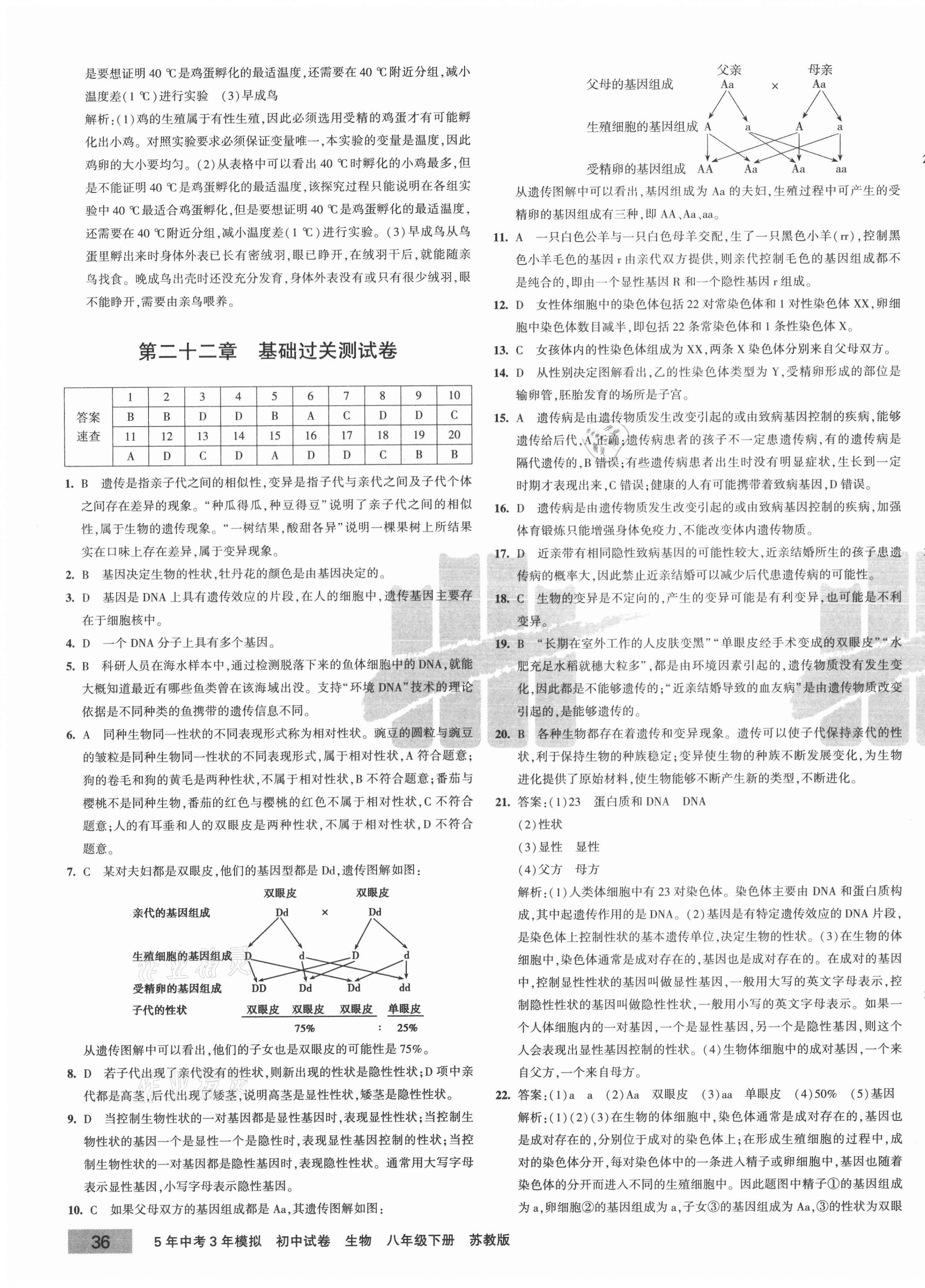 2021年5年中考3年模擬初中試卷八年級(jí)生物下冊(cè)蘇教版 第3頁(yè)