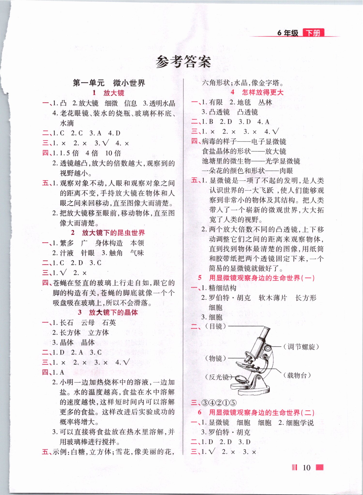 2021年頂尖訓練六年級科學下冊教科版 第1頁