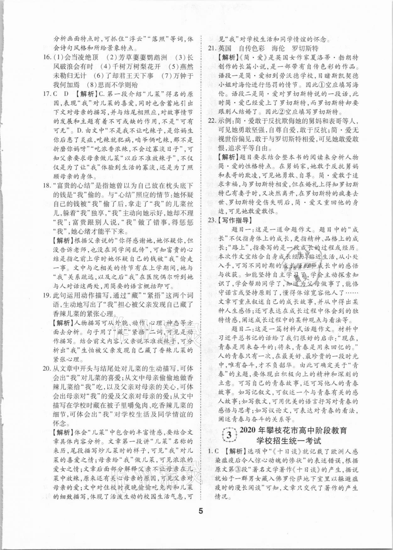 2021年中考方舟試題薈萃詳解語(yǔ)文四川專版 第5頁(yè)