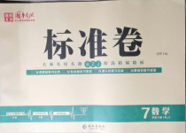 2021年標準卷七年級數學下冊人教版長江出版社