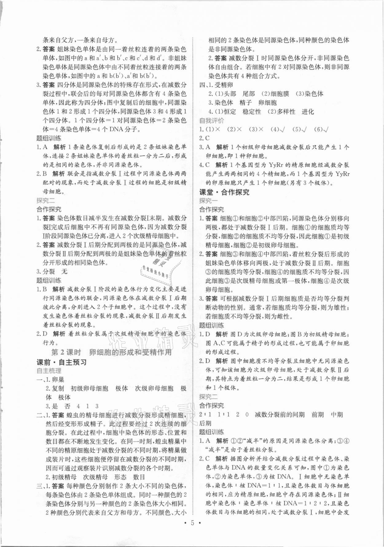 2021年能力培养与测试生物必修2人教版 参考答案第4页