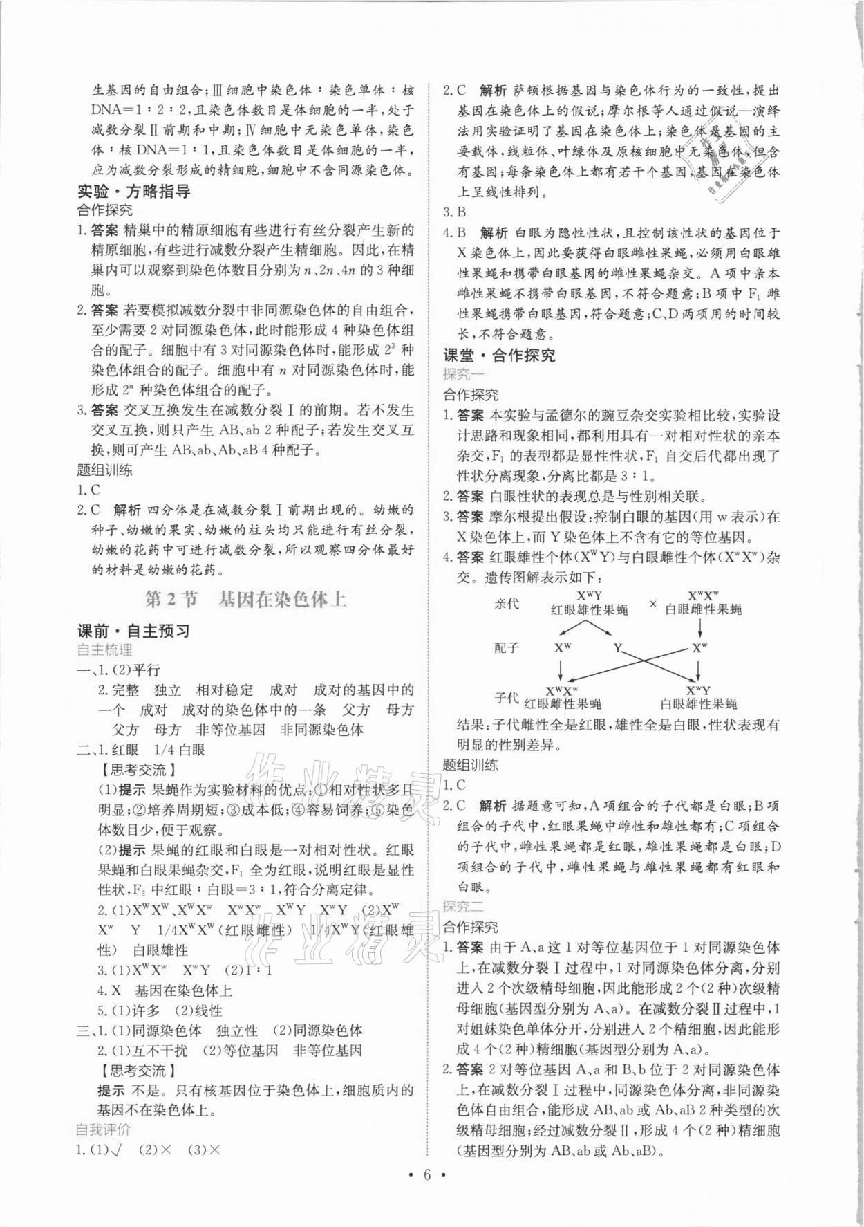 2021年能力培养与测试生物必修2人教版 参考答案第5页