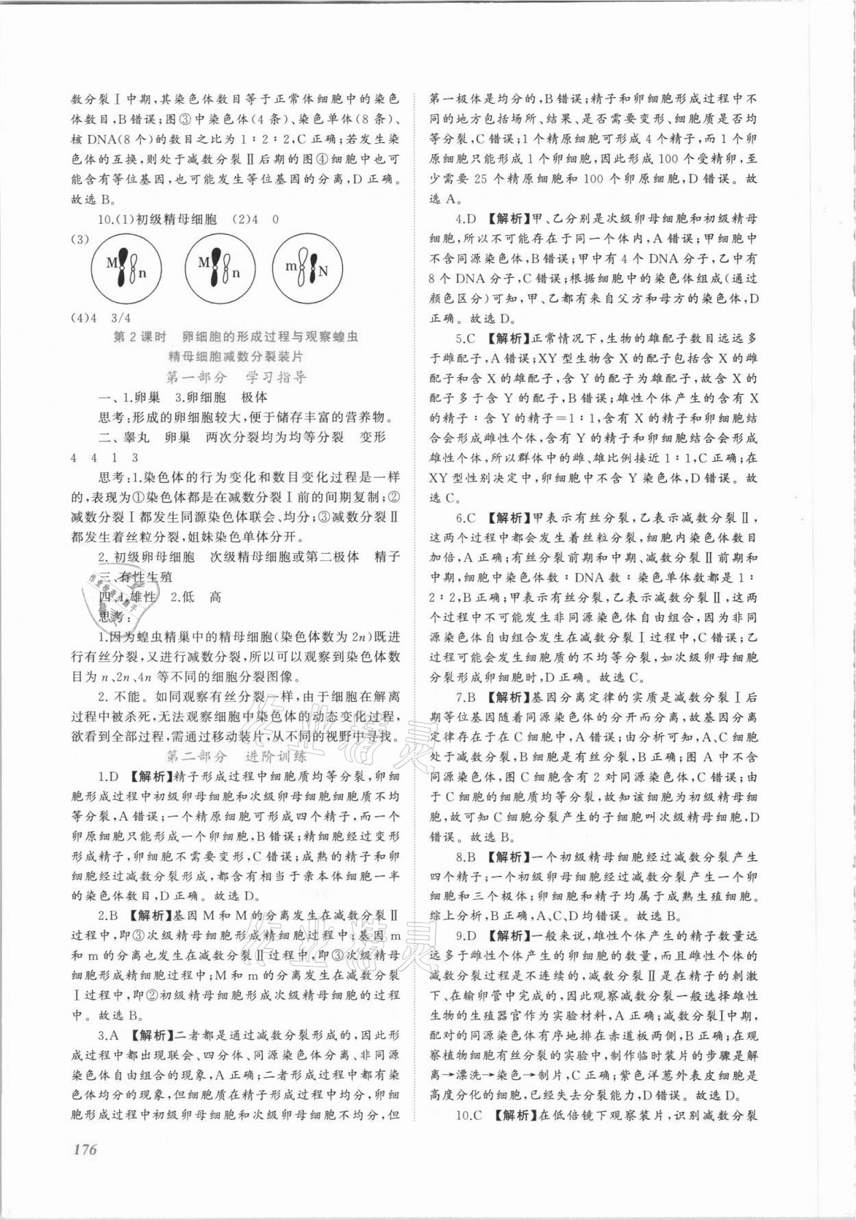 2021年同步實(shí)踐評(píng)價(jià)課程基礎(chǔ)訓(xùn)練高中生物必修2人教版 第6頁