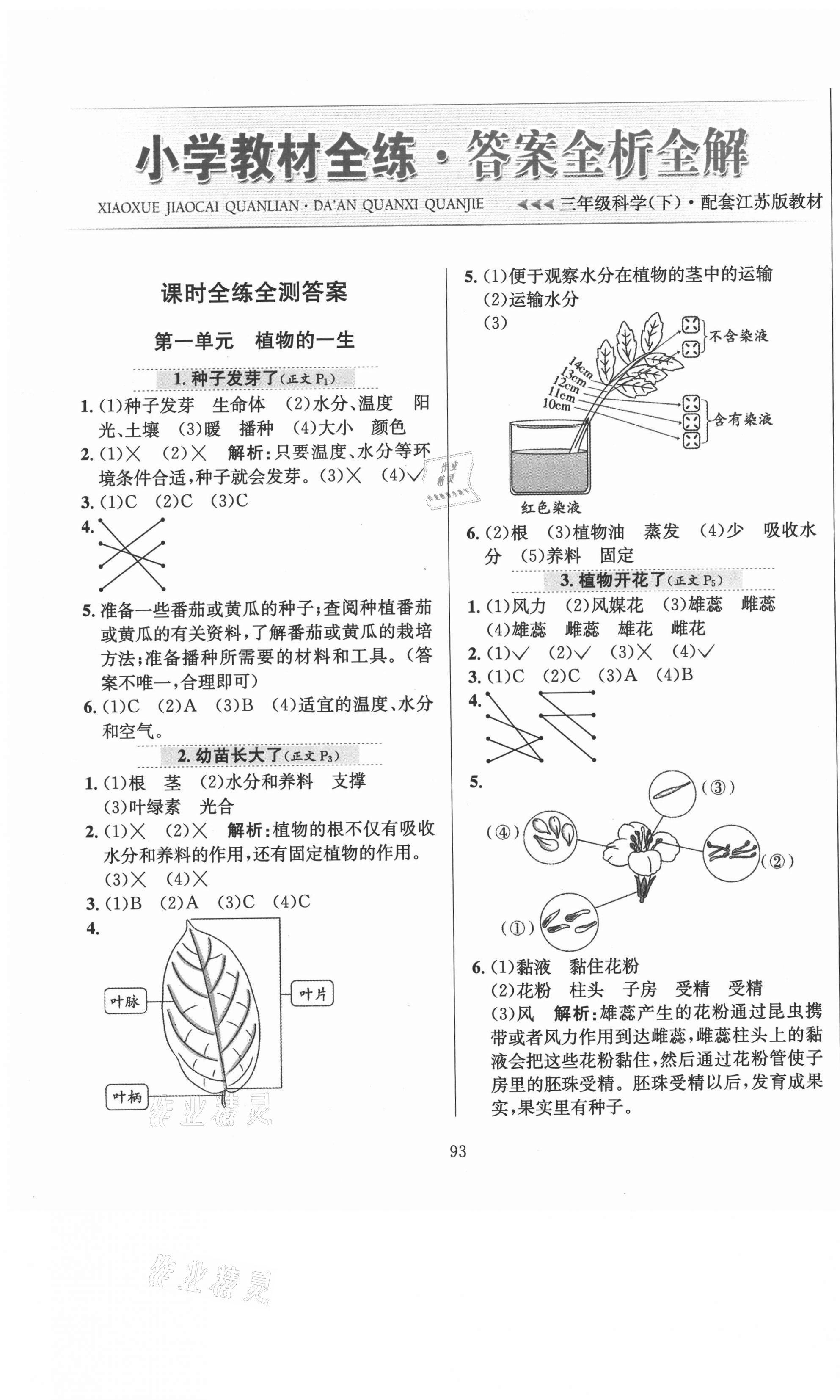 2021年小学教材全练三年级科学下册苏教版 参考答案第1页