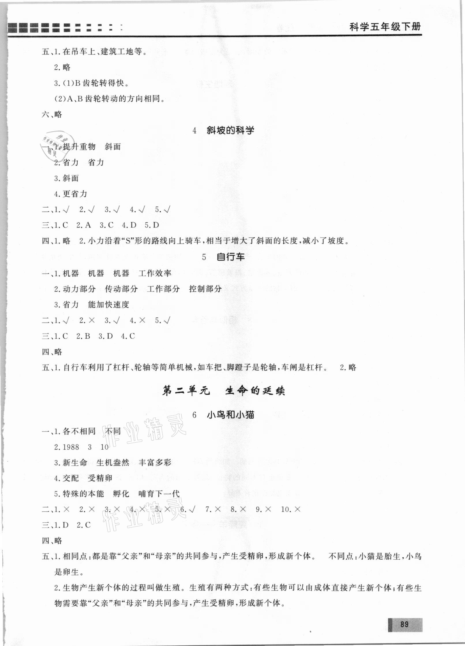 2021年基本功訓(xùn)練1課1練測試卷五年級科學(xué)下冊冀人版 參考答案第2頁