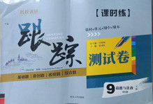 2021年名校調研跟蹤測試卷九年級道德與法治下冊人教版