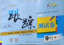 2021年名校調(diào)研跟蹤測(cè)試卷九年級(jí)化學(xué)下冊(cè)人教版