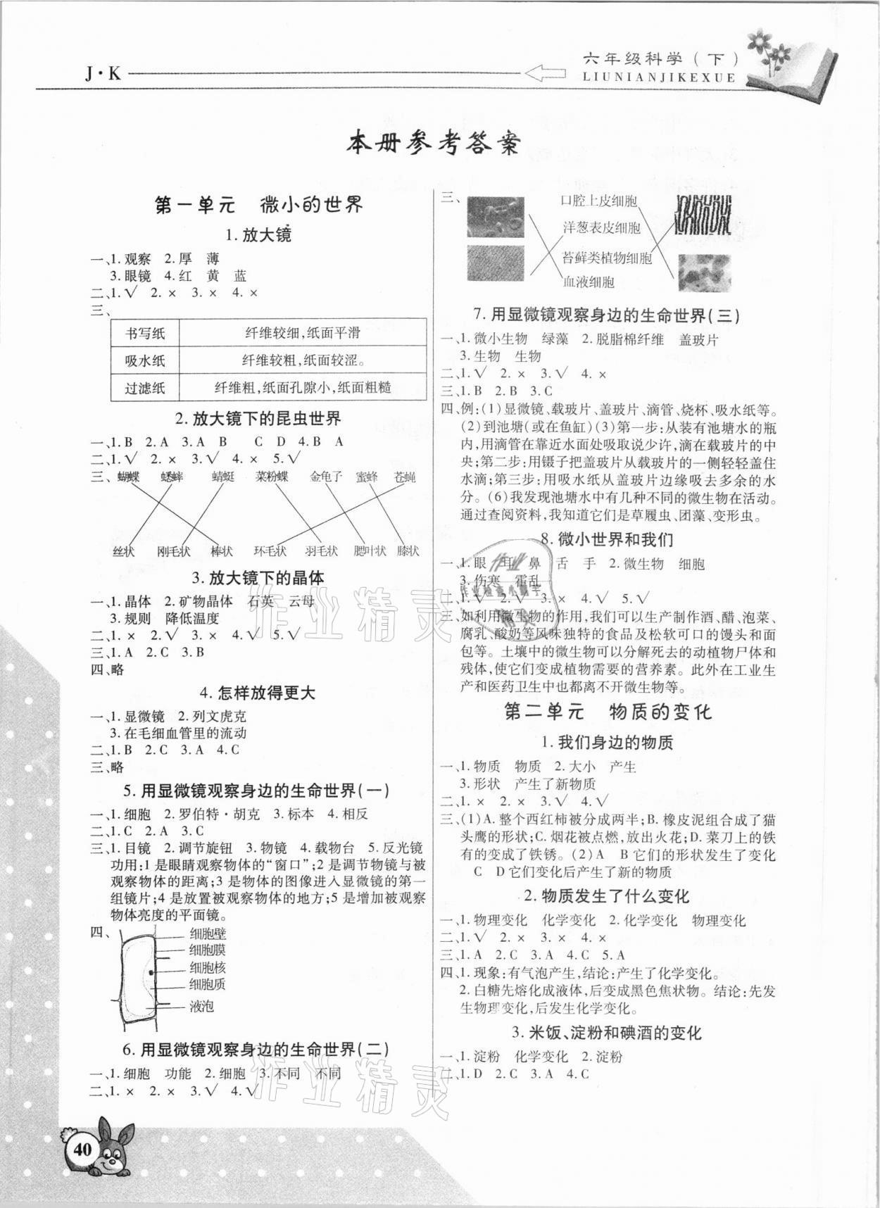 2021年課堂360度同步訓(xùn)練六年級科學(xué)下冊教科版 參考答案第1頁