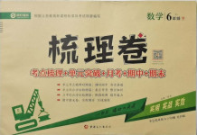 2021年梳理卷六年級數學下冊人教版
