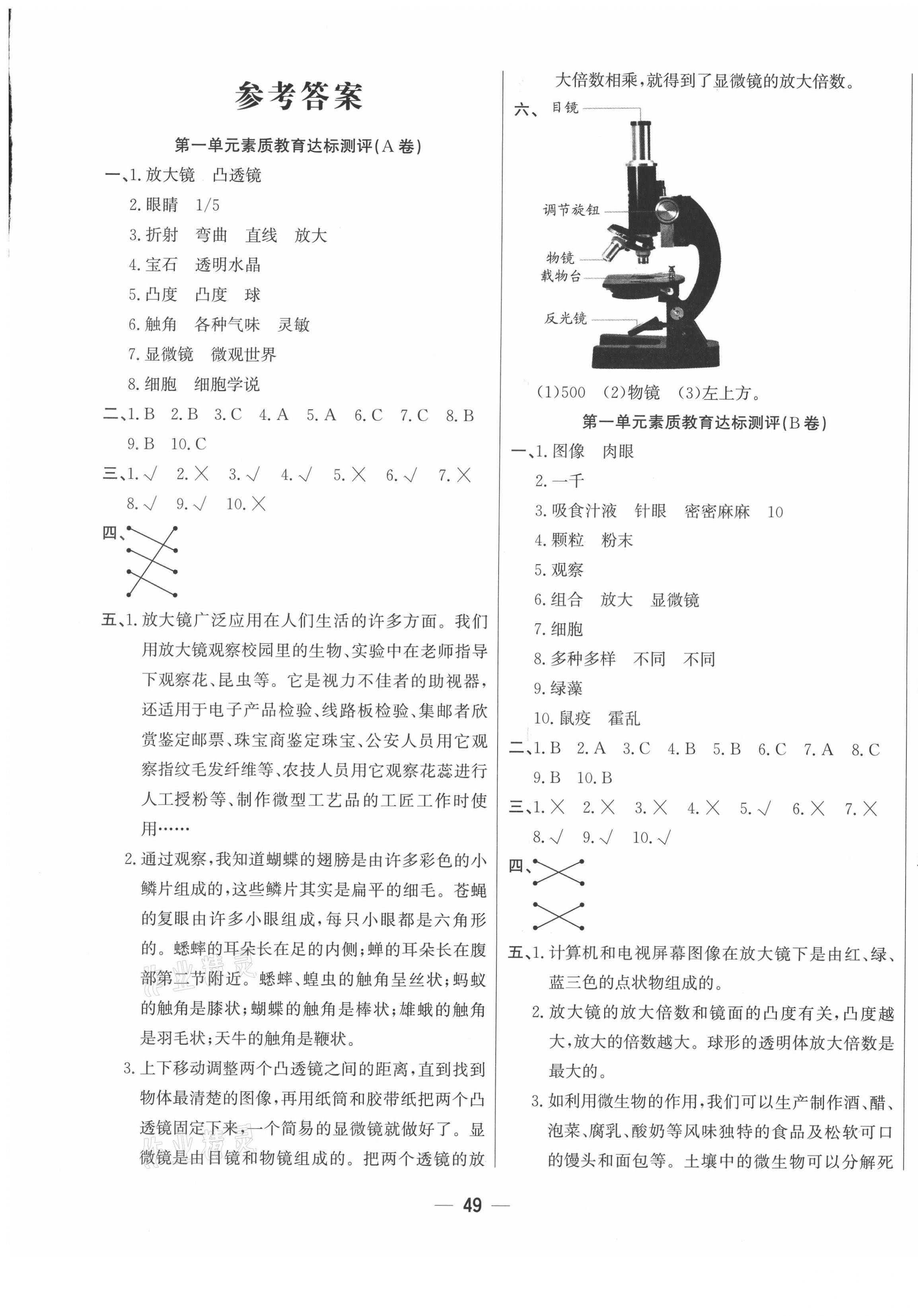 2021年科學(xué)與生活測(cè)試卷六年級(jí)下冊(cè)教科版 參考答案第1頁(yè)