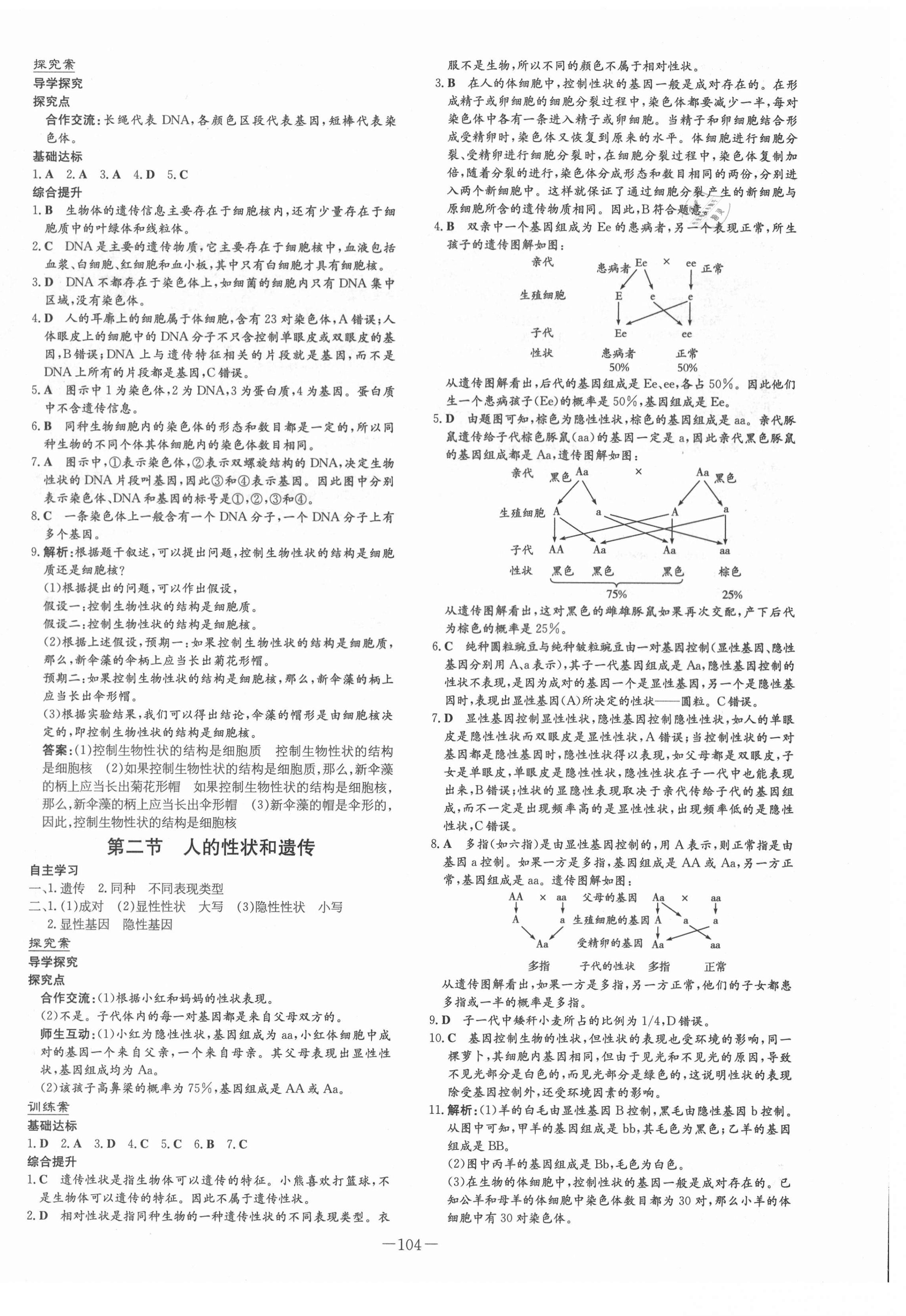 2021年初中同步學(xué)習(xí)導(dǎo)與練導(dǎo)學(xué)探究案八年級生物下冊蘇教版 第4頁