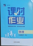 2021年經(jīng)綸學(xué)典課時作業(yè)九年級物理下冊人教版