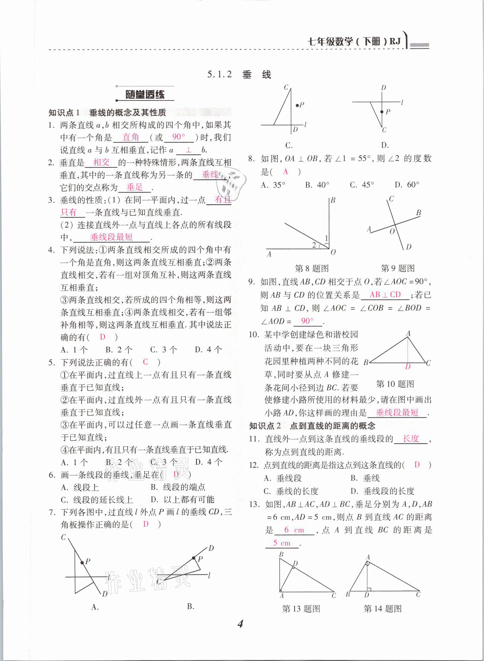 2021年本土學練七年級數(shù)學下冊人教版云南專版 參考答案第4頁