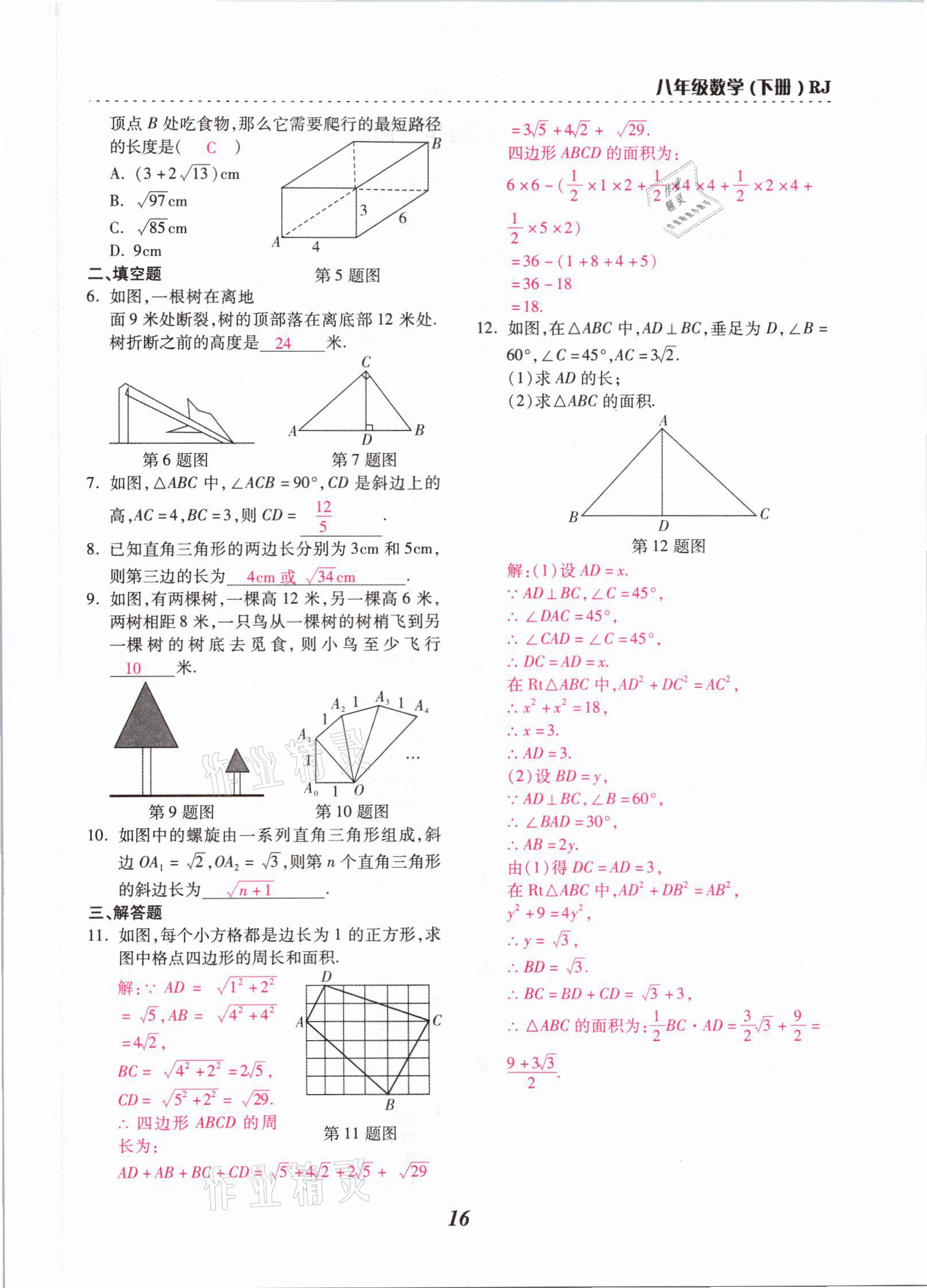 2021年本土學(xué)練八年級(jí)數(shù)學(xué)下冊(cè)人教版云南專(zhuān)版 參考答案第16頁(yè)