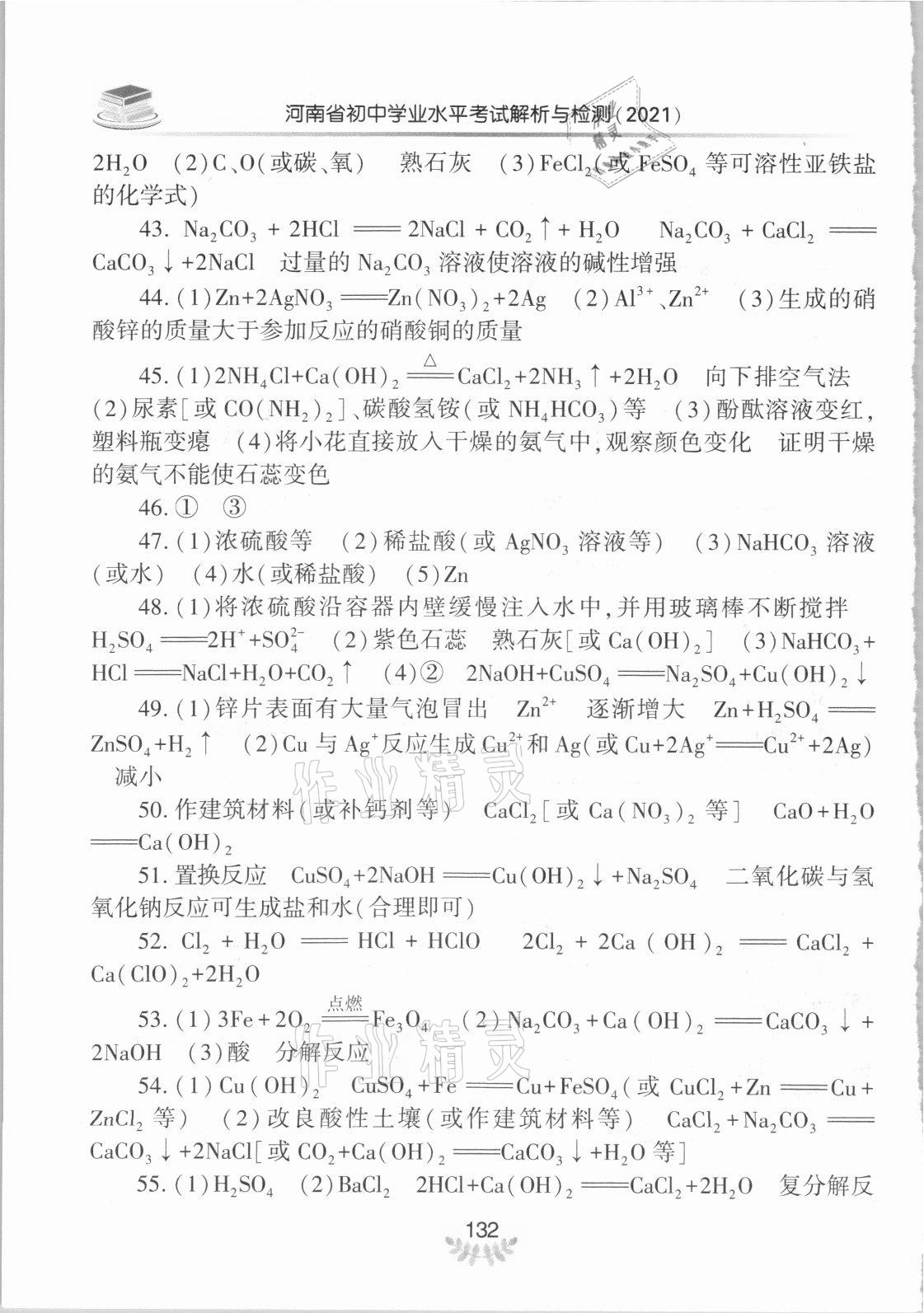 2021年河南省初中學業(yè)水平考試解析與檢測化學上冊 第4頁