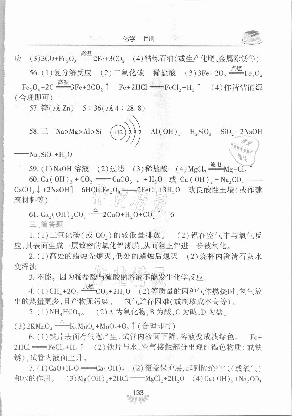 2021年河南省初中學業(yè)水平考試解析與檢測化學上冊 第5頁