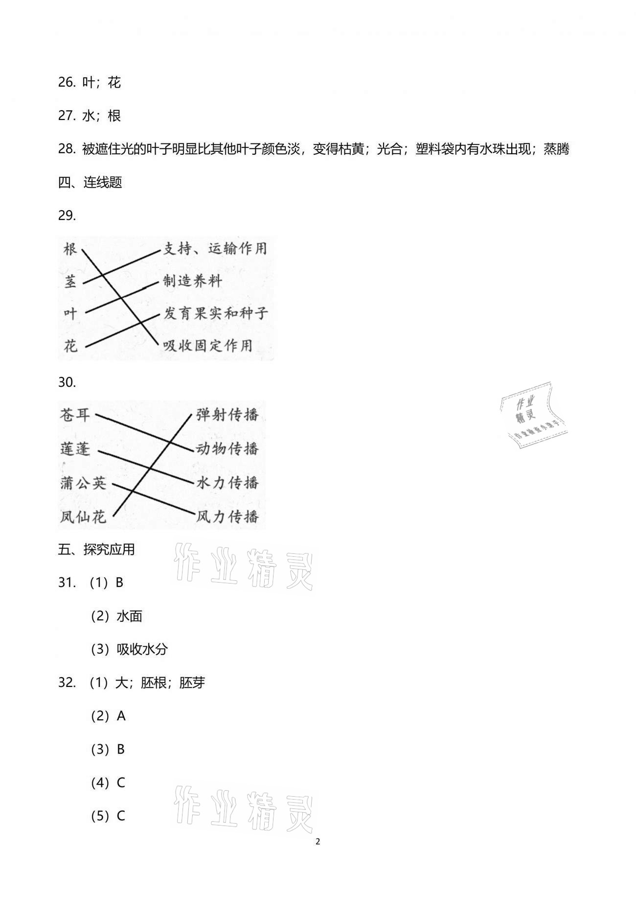 2021年学而晋四年级科学下册教科版 参考答案第2页