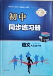 2021年同步練習(xí)冊(cè)九年級(jí)語文下冊(cè)人教版54制青島出版社