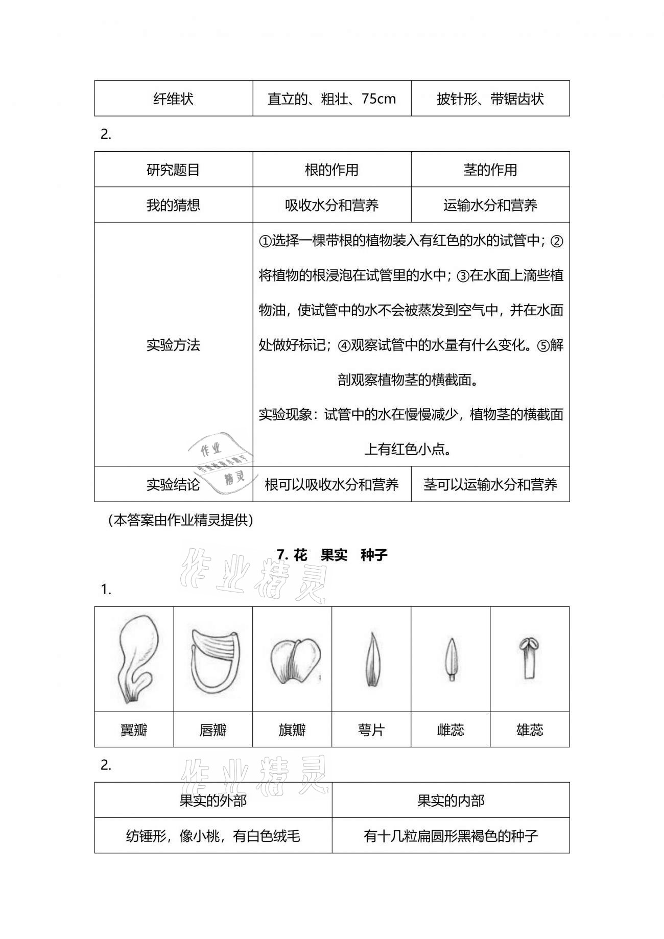 2021年學(xué)生活動(dòng)手冊(cè)三年級(jí)科學(xué)下冊(cè)人教版 參考答案第5頁(yè)