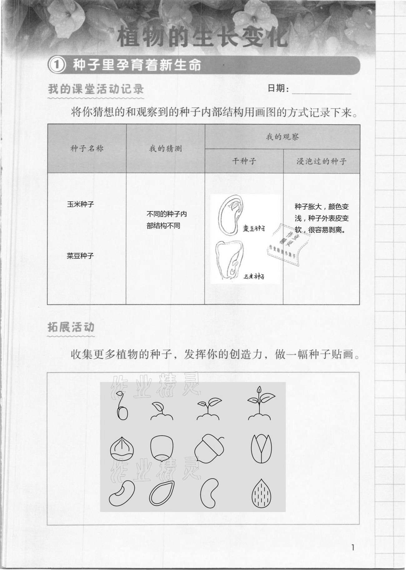 2021年學(xué)生活動手冊四年級科學(xué)下冊教科版 第1頁