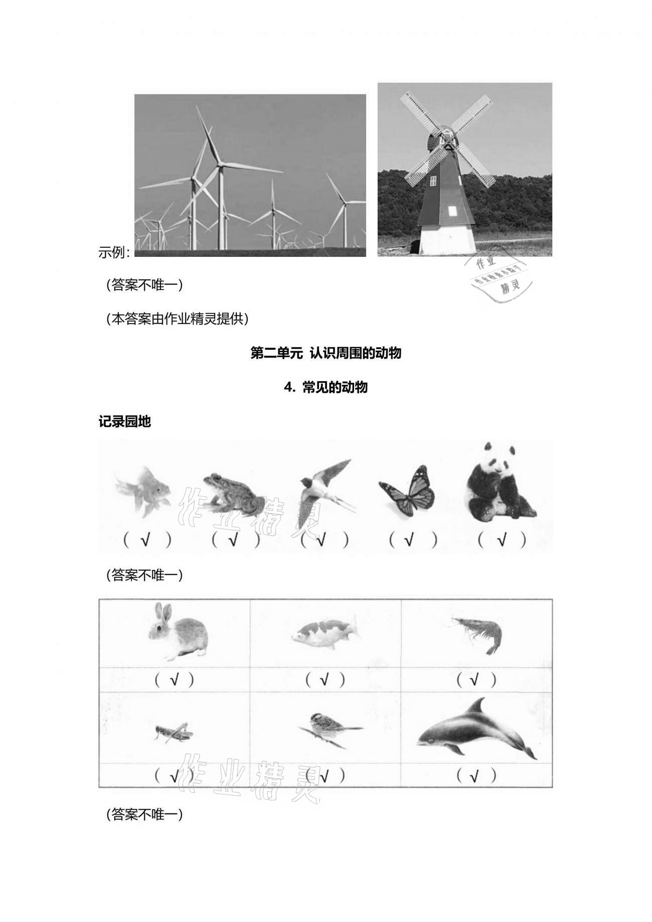 2021年科學(xué)學(xué)生活動(dòng)手冊一年級下冊青島版 參考答案第3頁