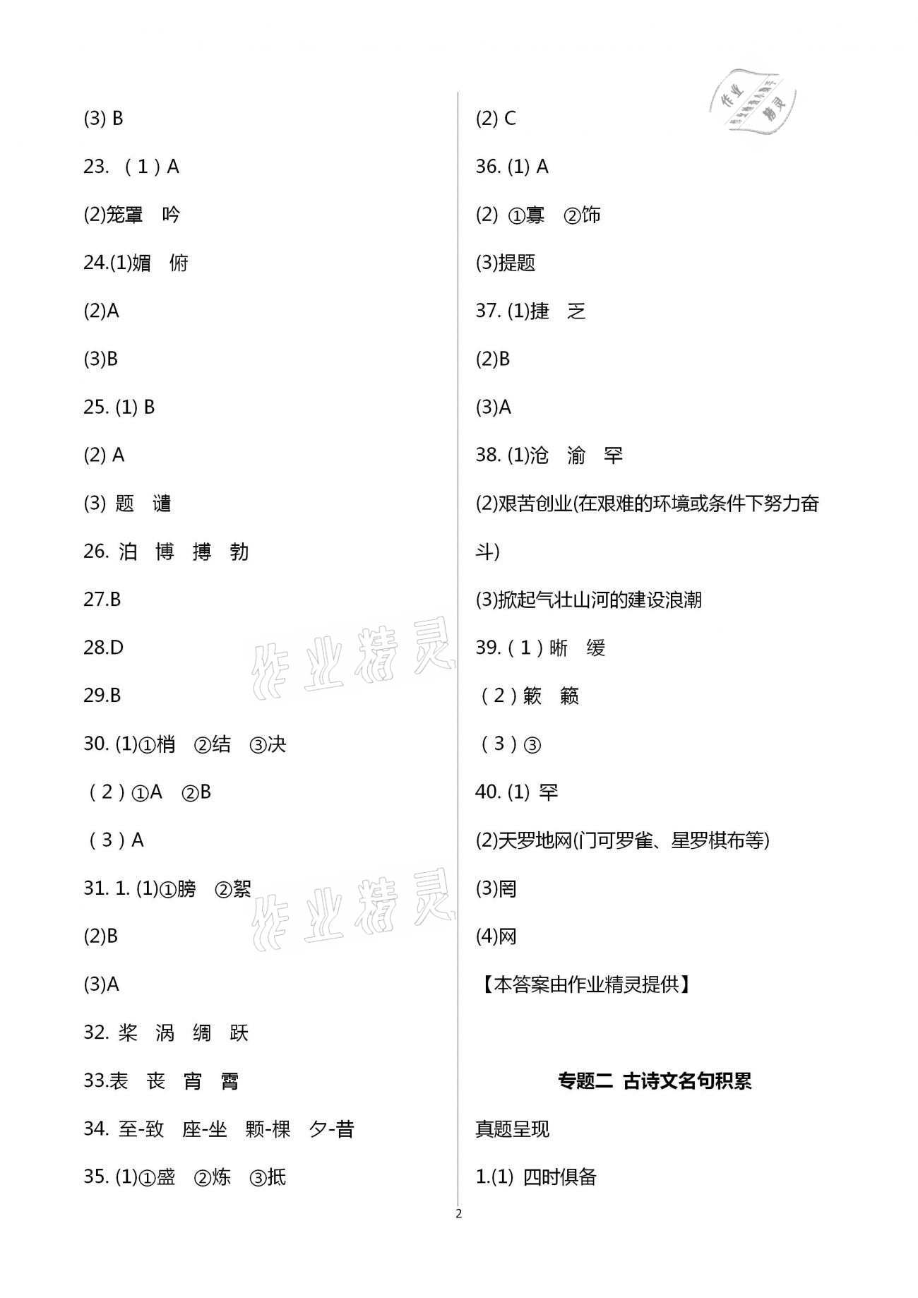 2021年新中考重难点精析语文 第2页