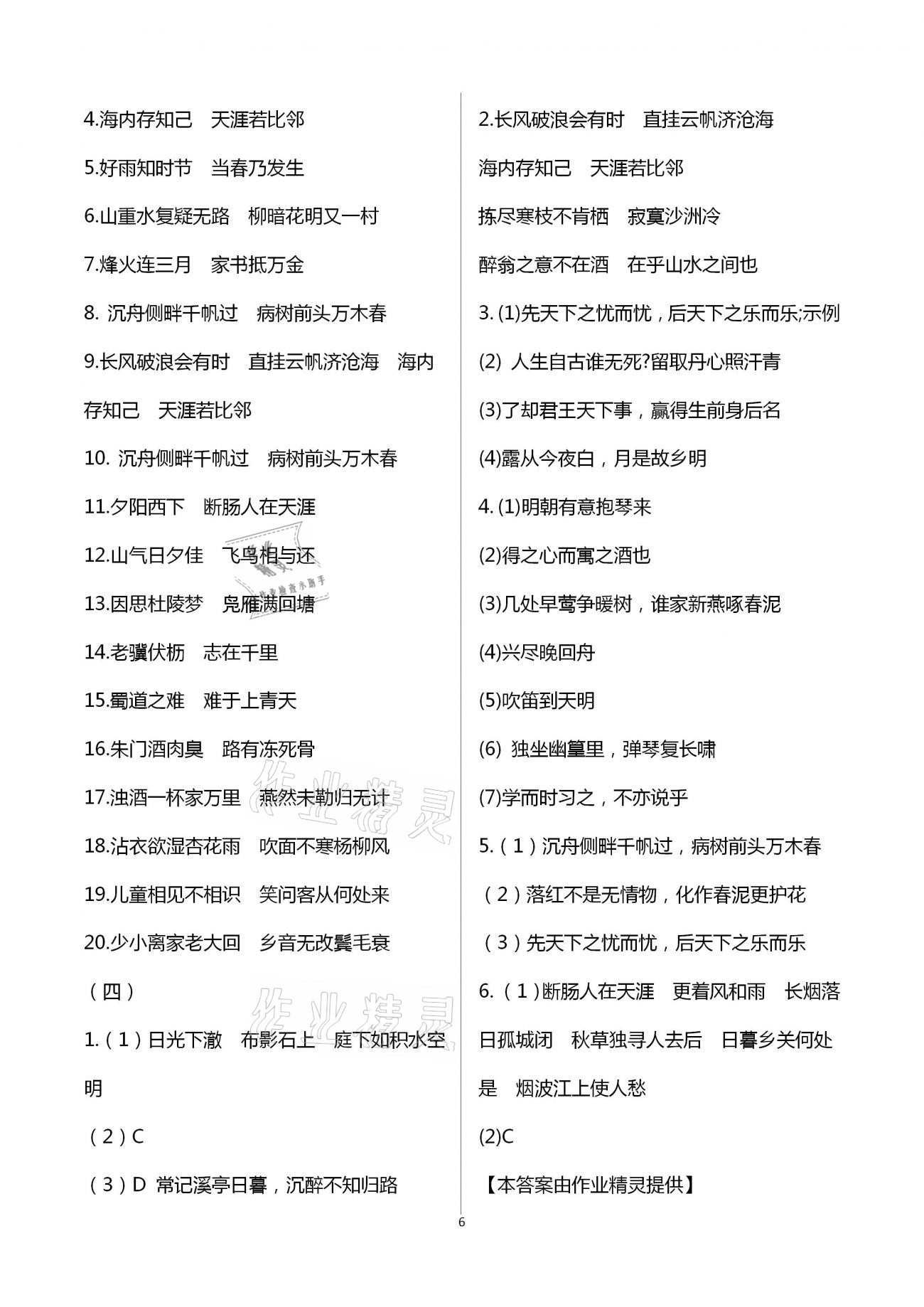 2021年新中考重难点精析语文&nbsp;第6页