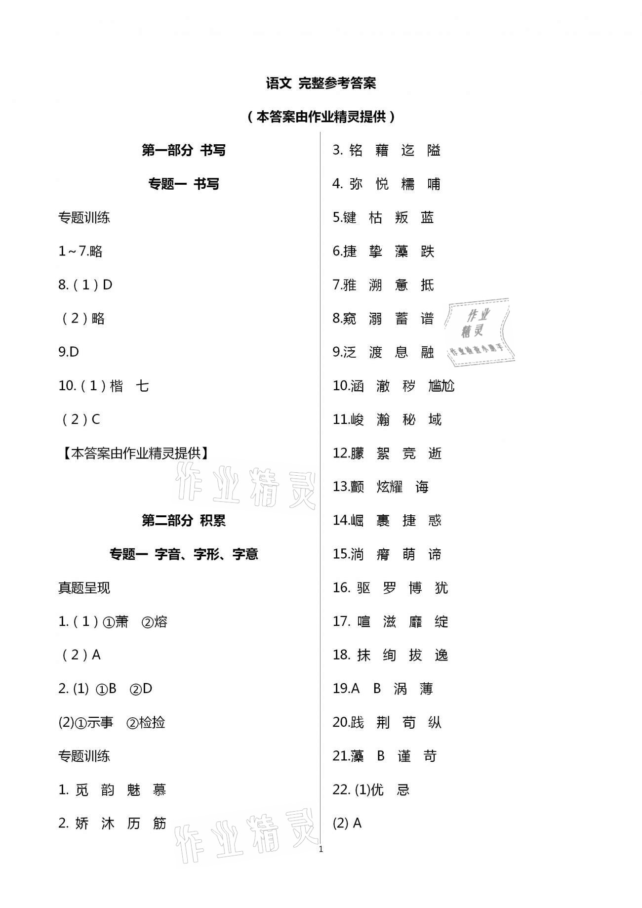 2021年新中考重難點精析語文 第1頁