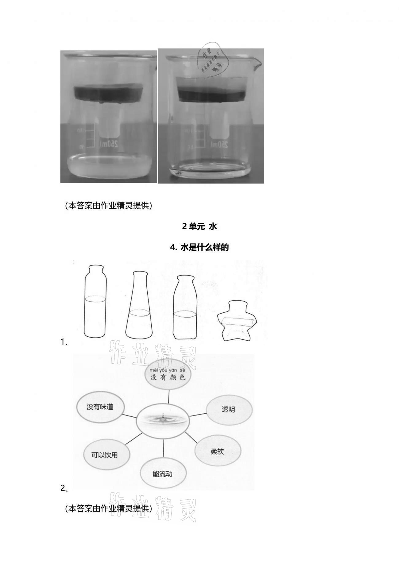 2021年學(xué)生活動手冊一年級科學(xué)下冊蘇教版 參考答案第3頁