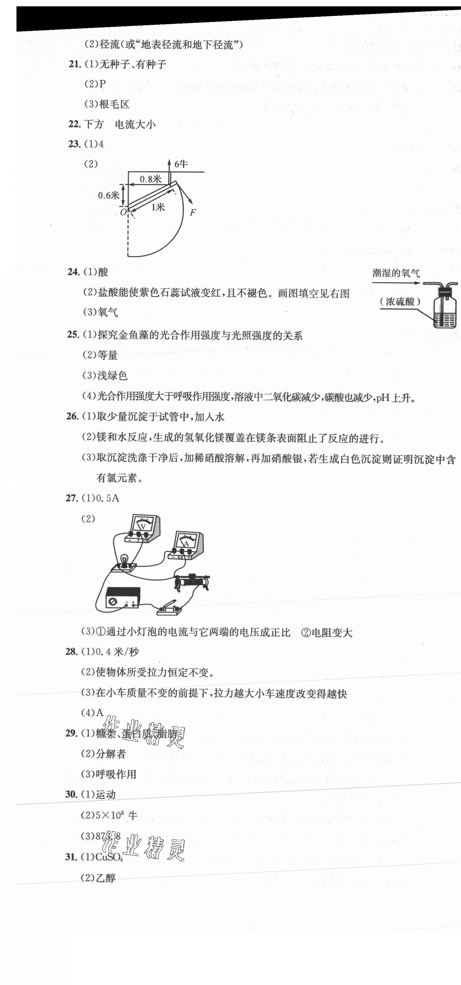 2021年新天地中考試卷匯編科學 第7頁