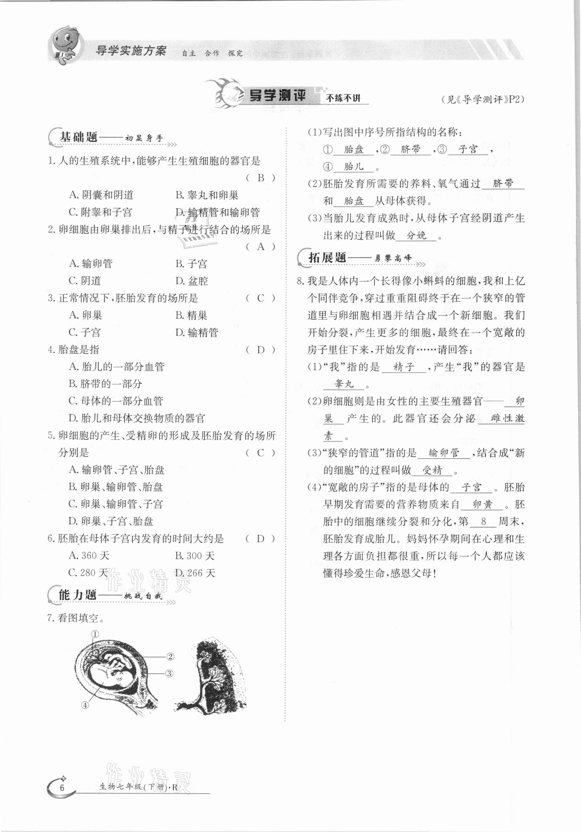 2021年三段六步導(dǎo)學(xué)案七年級(jí)生物下冊人教版 參考答案第6頁