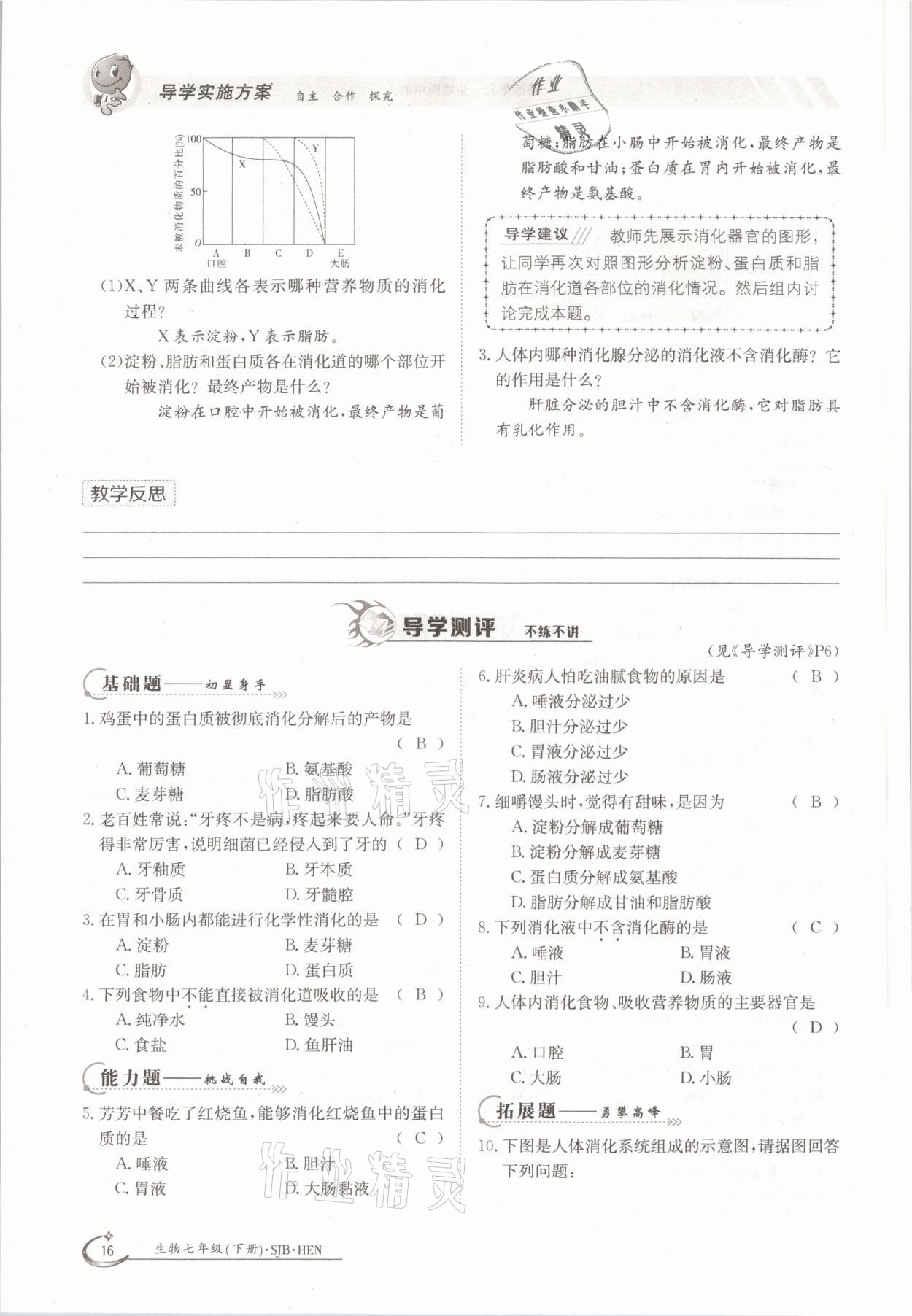 2021年三段六步導學案七年級生物下冊蘇教版 參考答案第16頁