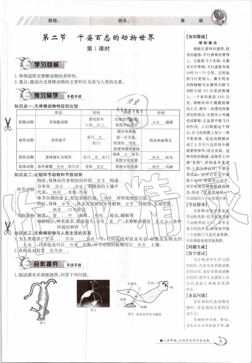 2021年三段六步導(dǎo)學(xué)案八年級生物下冊蘇教版 參考答案第5頁