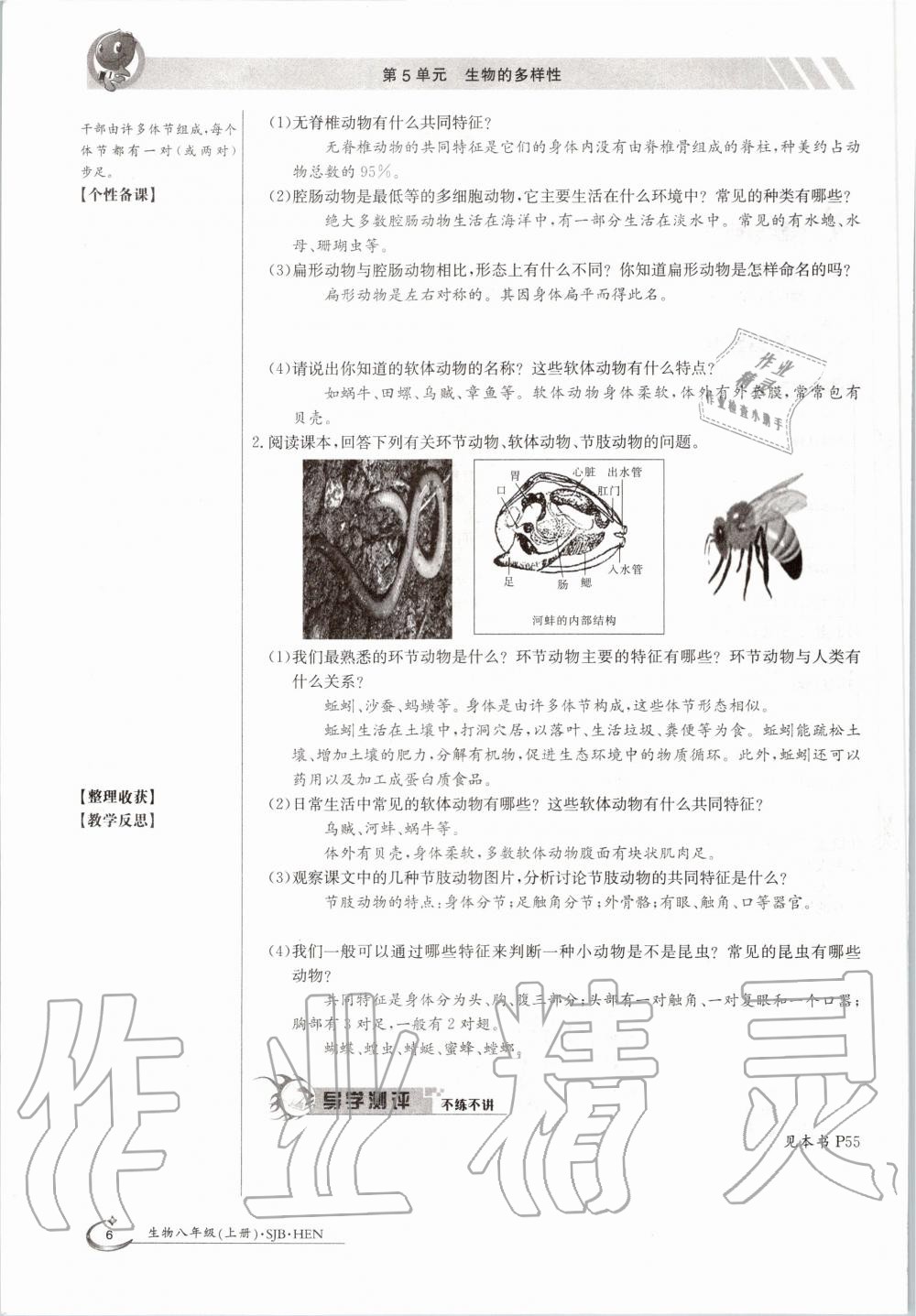 2021年三段六步導(dǎo)學(xué)案八年級生物下冊蘇教版 參考答案第6頁