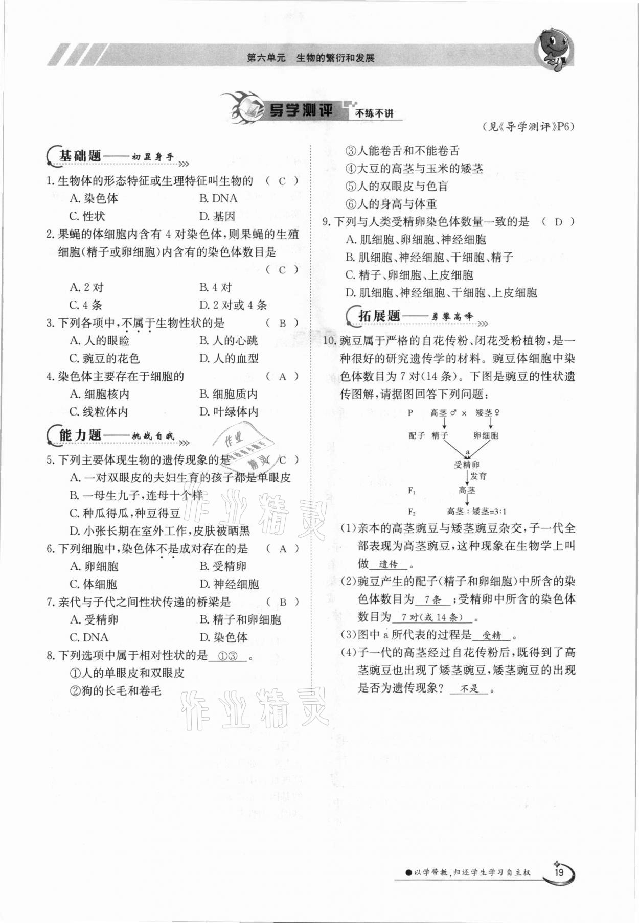 2021年三段六步導學案八年級生物下冊冀少版 參考答案第19頁