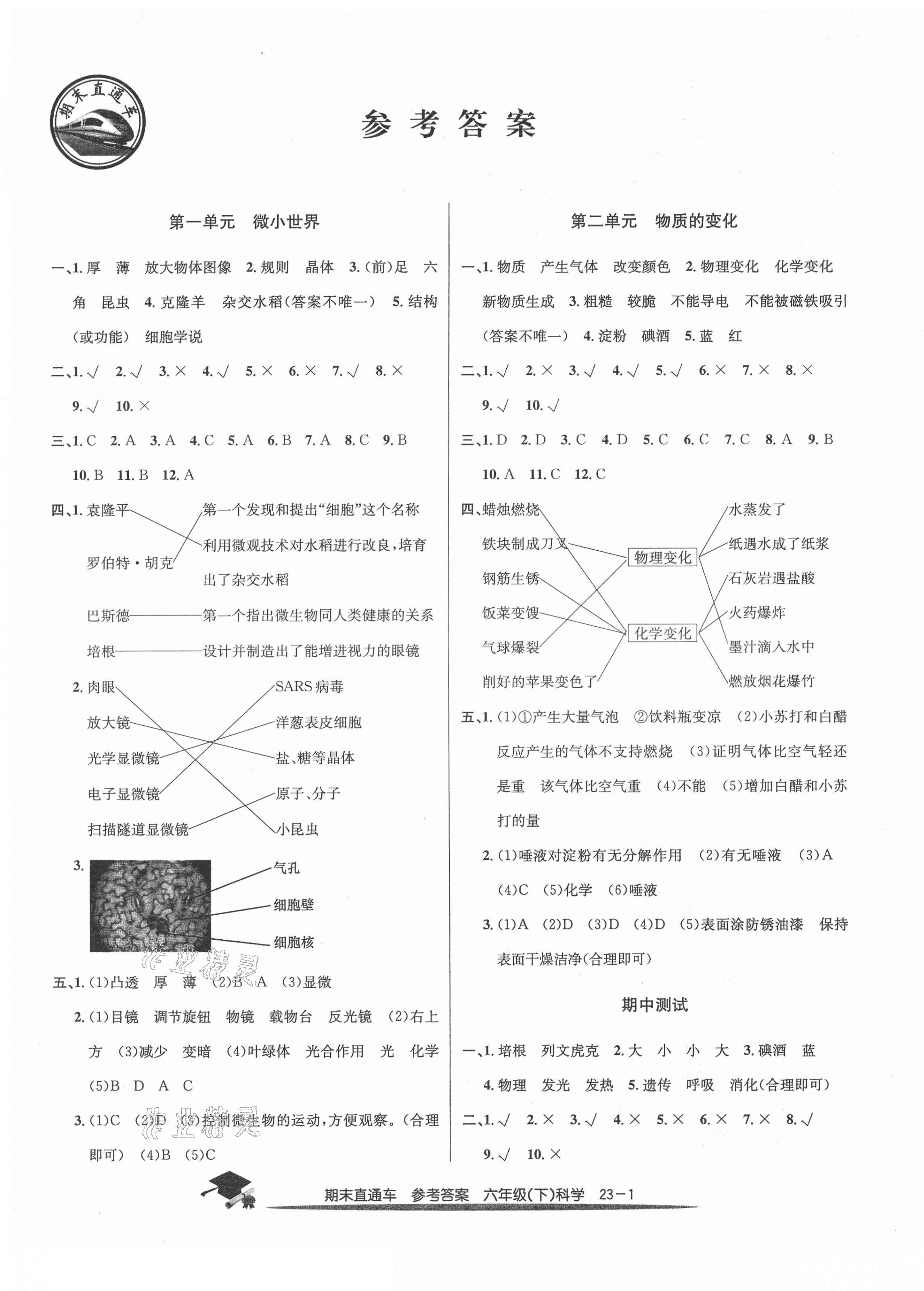 2021年期末直通车六年级科学下册教科版 第1页