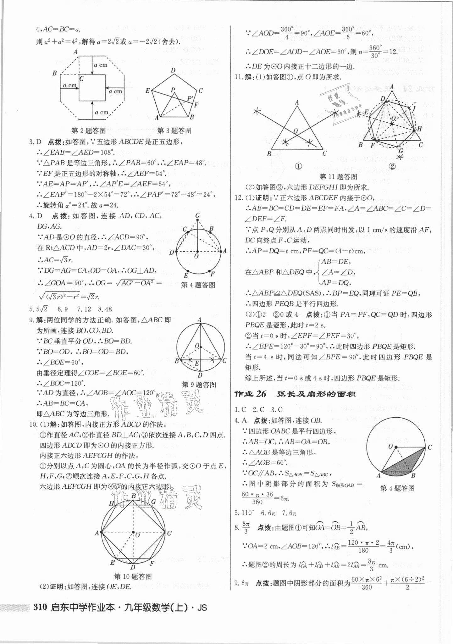 2021年啟東中學作業(yè)本九年級數(shù)學上冊江蘇版 第24頁