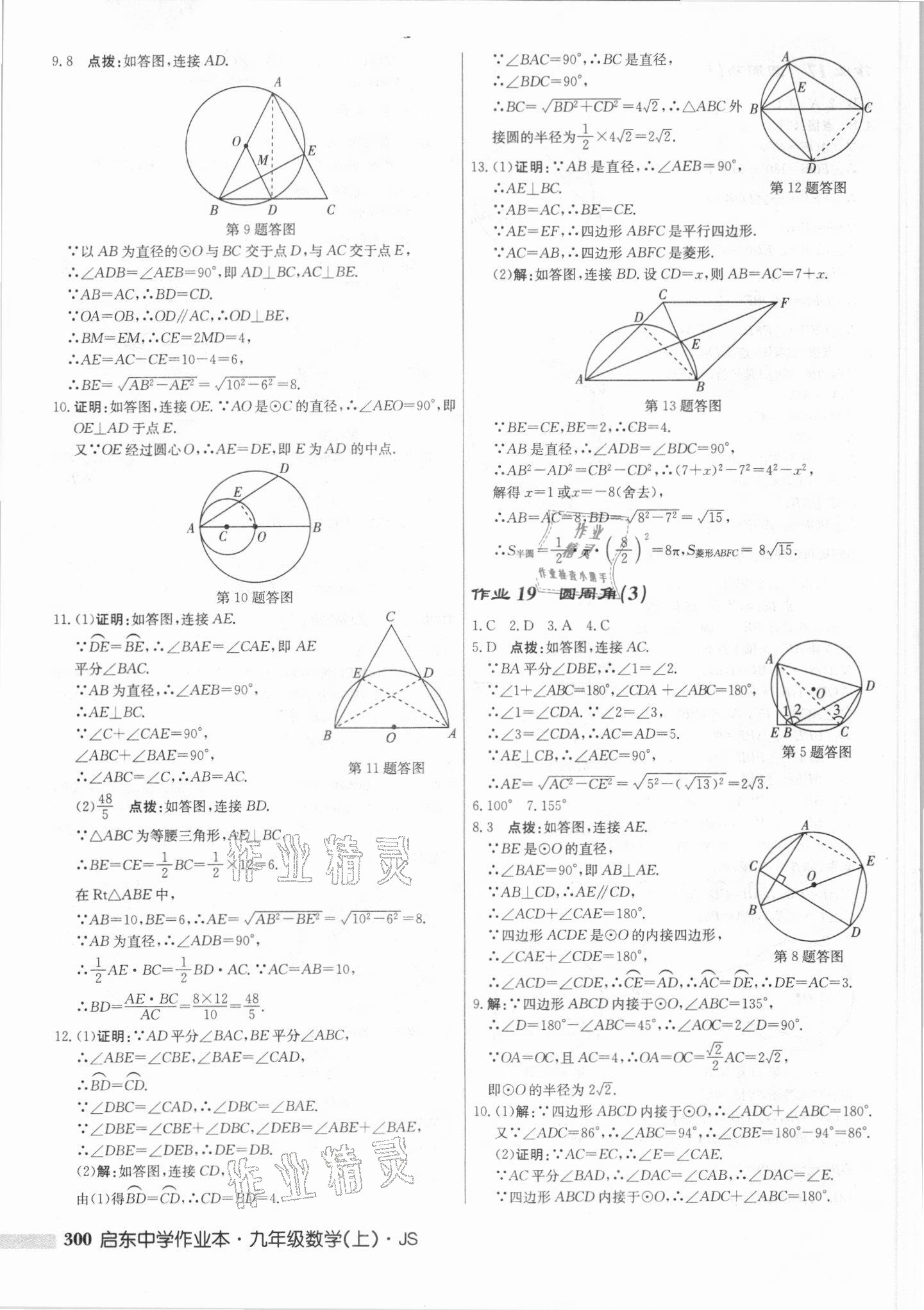 2021年启东中学作业本九年级数学上册江苏版 第14页