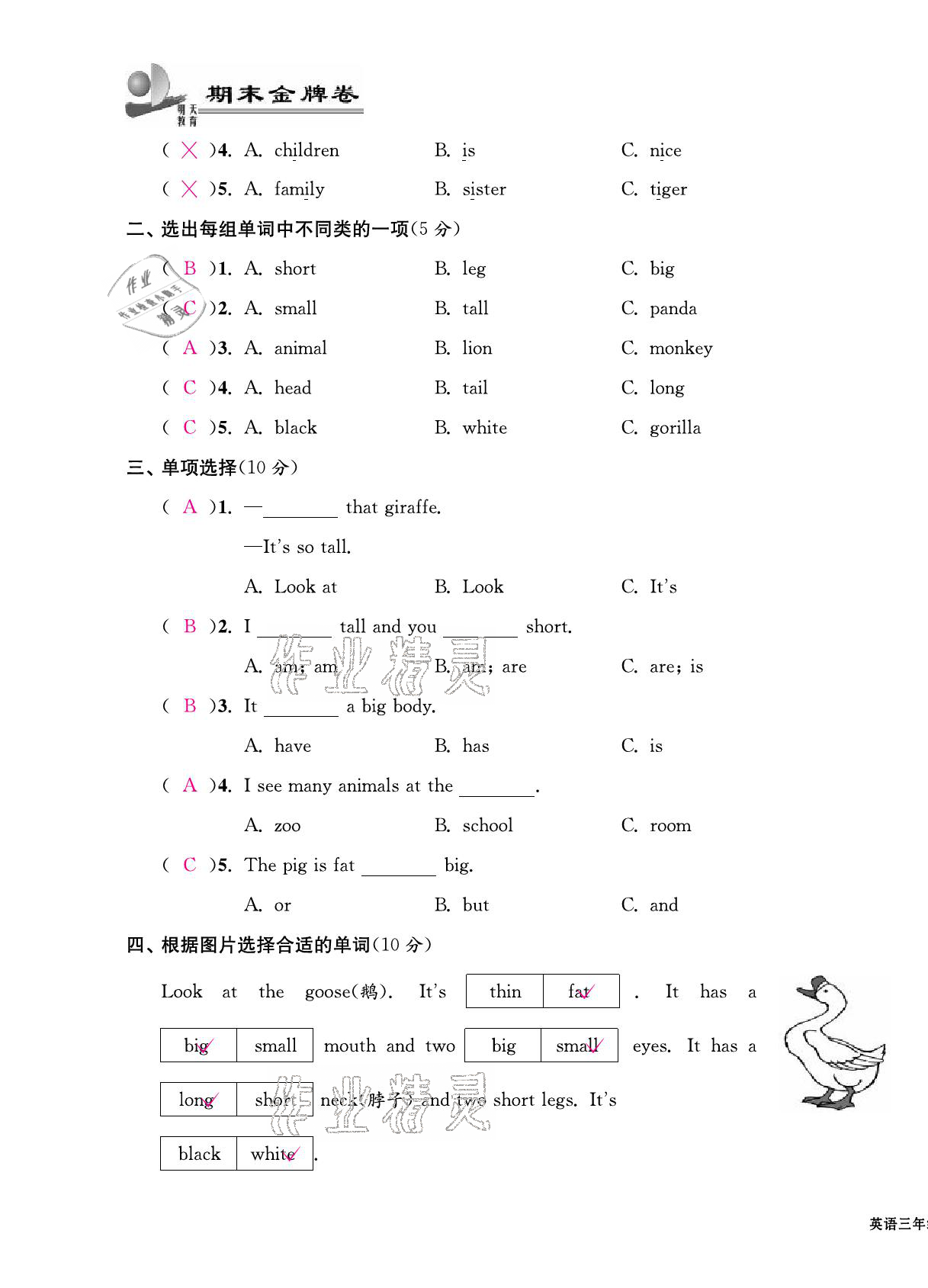 2021年期末金牌卷三年級英語下冊人教PEP版寧波專版 第11頁