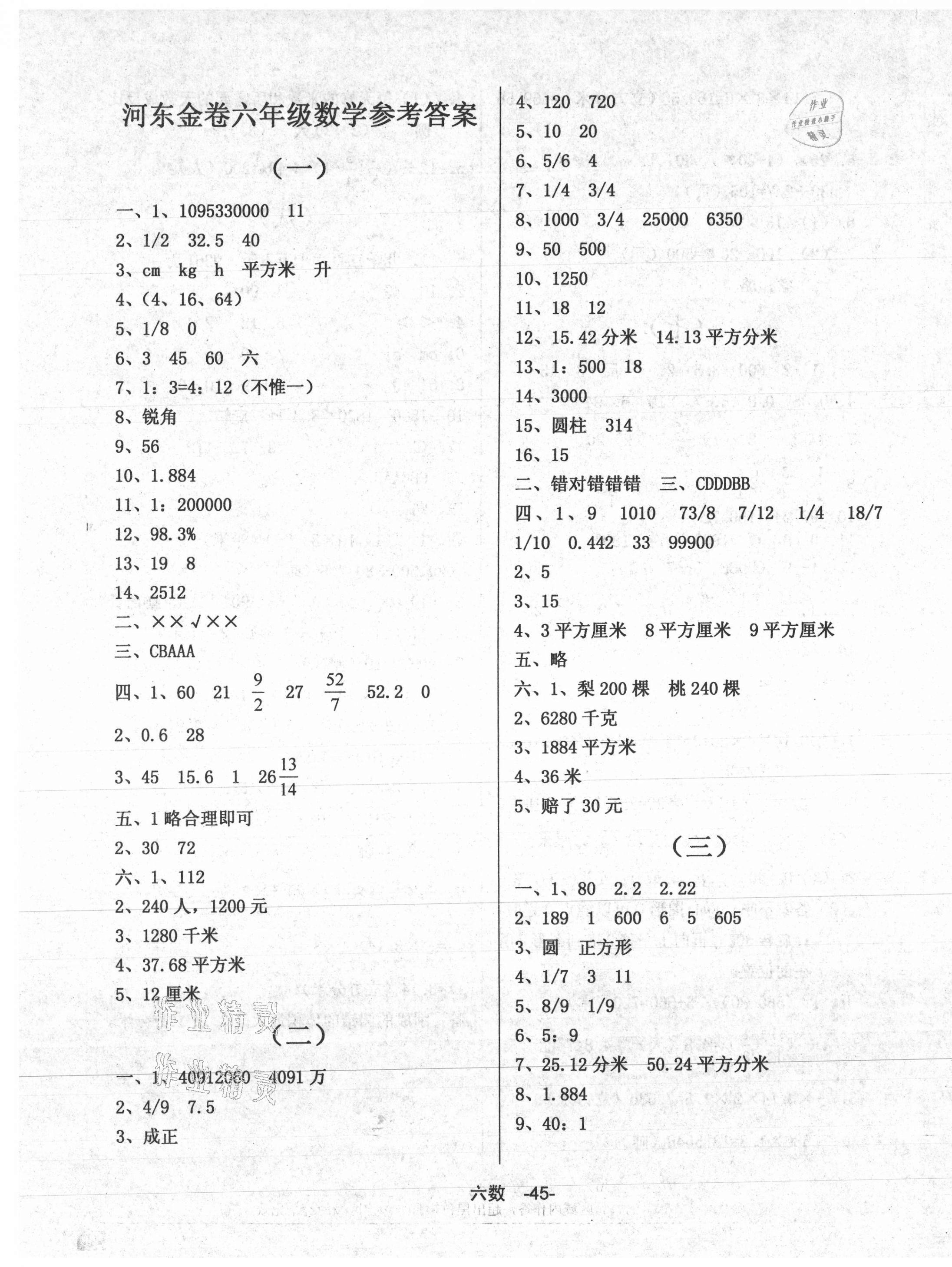 2021年河?xùn)|金卷六年級(jí)數(shù)學(xué)下冊(cè)期末北師大版 第1頁