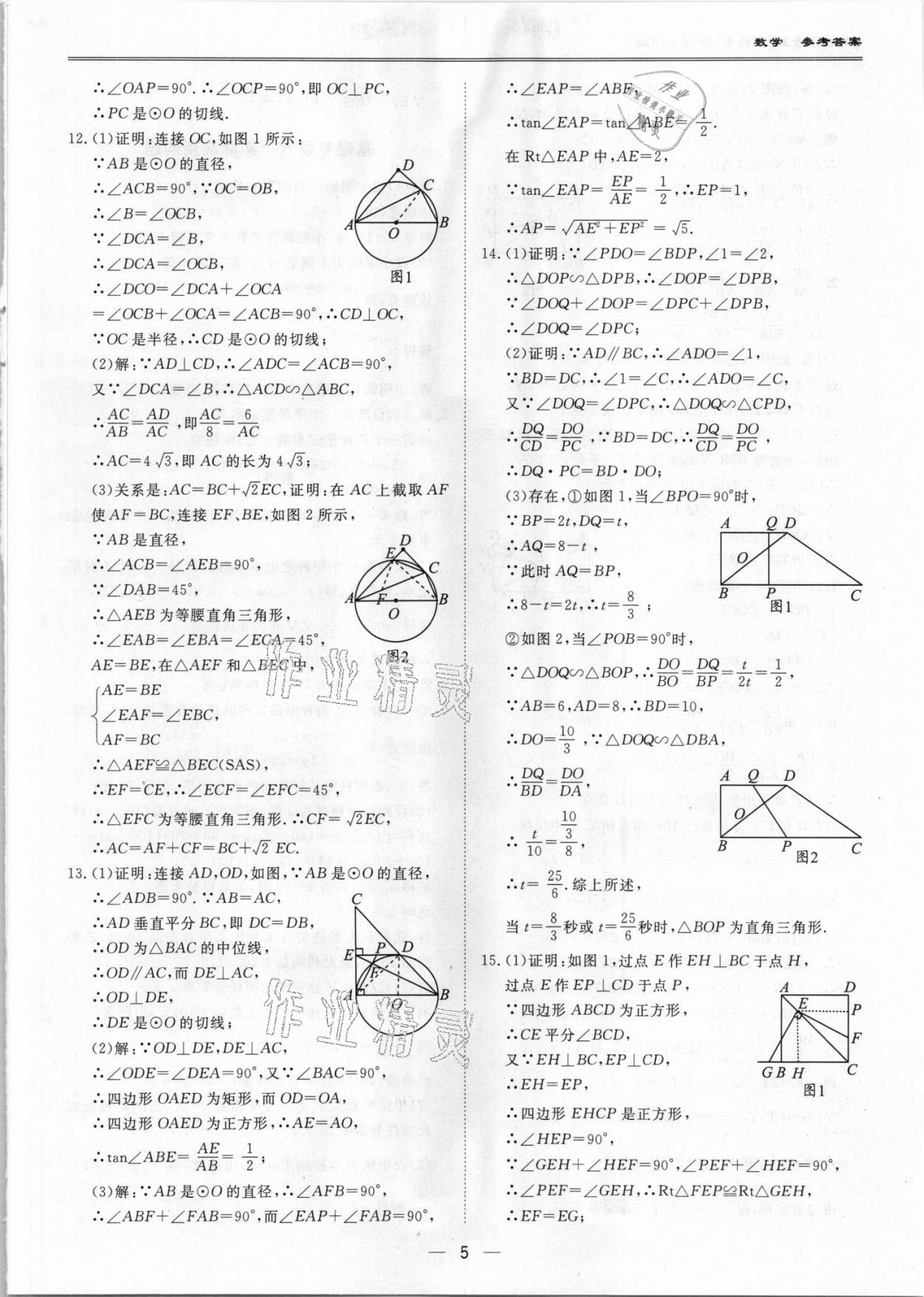 2021年中考?？纪跞婺M試卷數(shù)學(xué)深圳專用版 第5頁