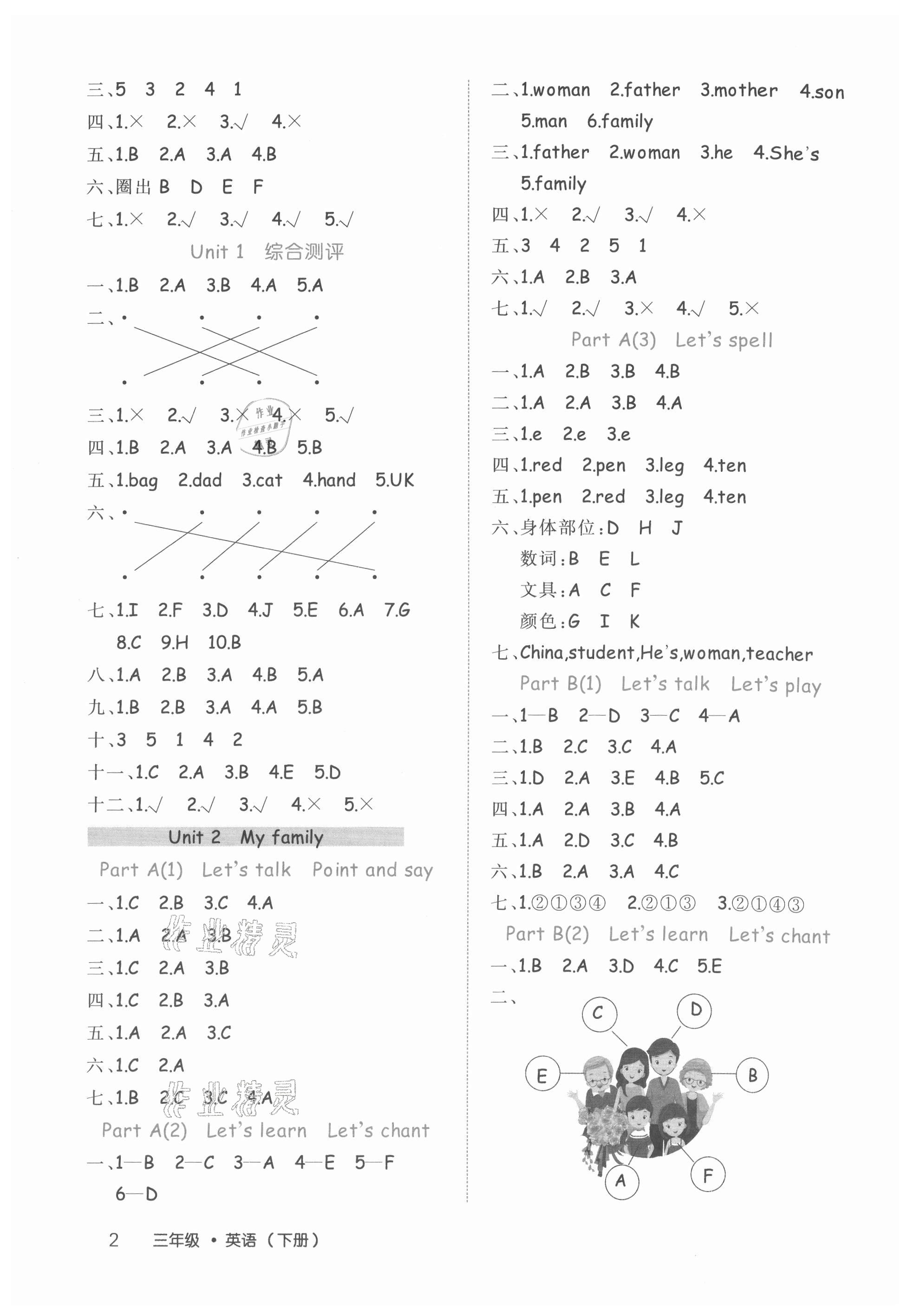 2021年細解巧練三年級英語下冊人教版 參考答案第2頁