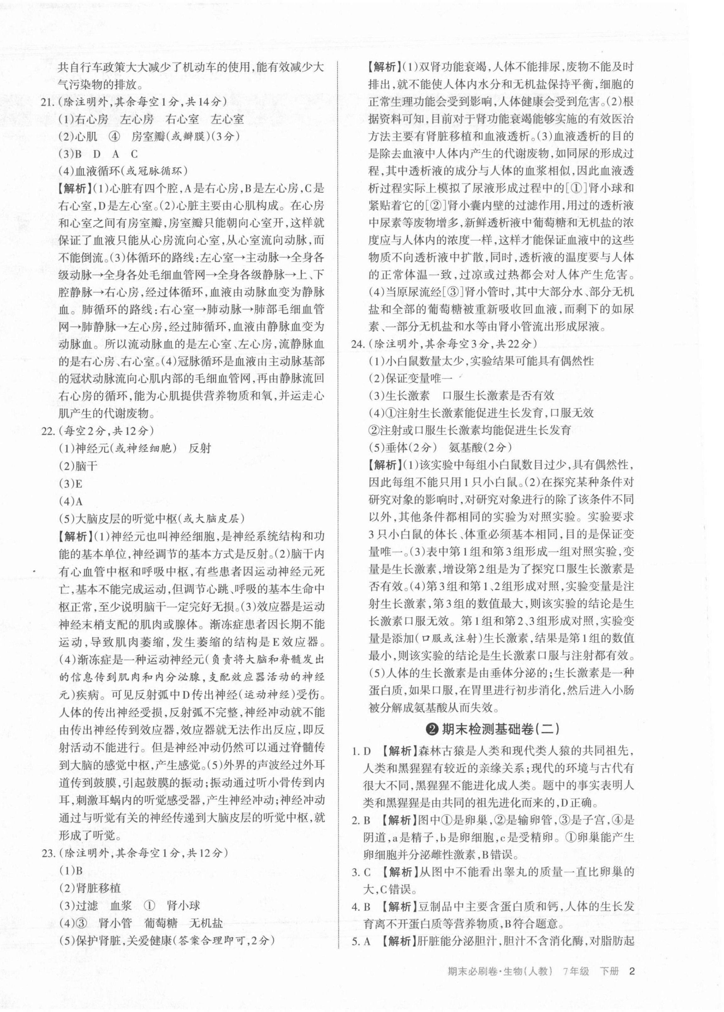 2021年學習周報期末必刷卷七年級生物下冊人教版山西專版 第2頁