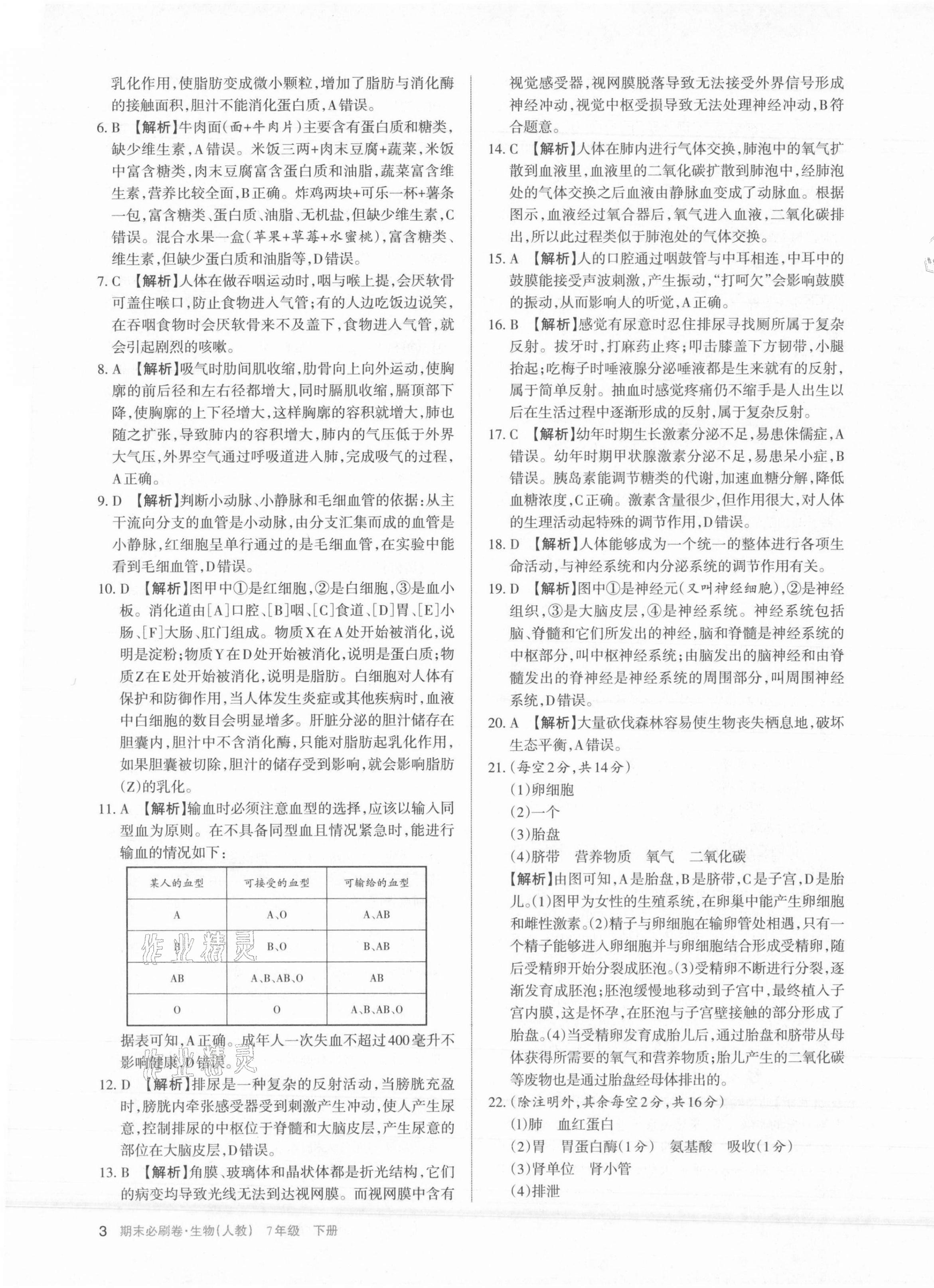 2021年學(xué)習(xí)周報期末必刷卷七年級生物下冊人教版山西專版 第3頁