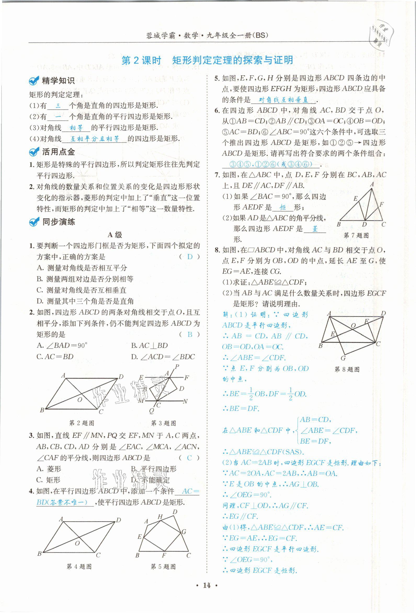 2021年蓉城学霸九年级数学全一册北师大版 参考答案第13页